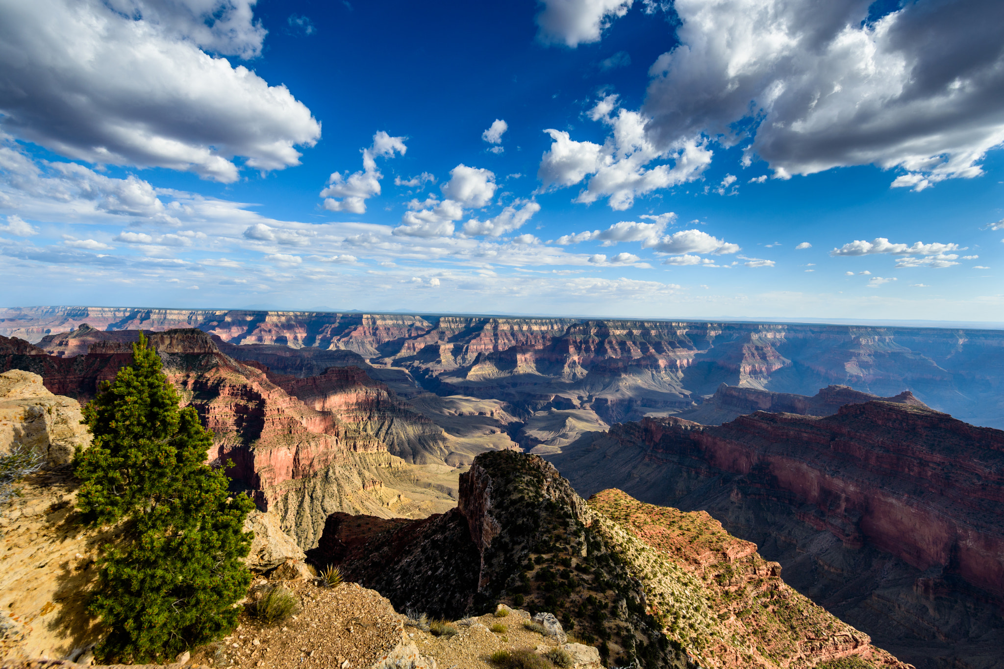 Samyang 14mm F2.8 ED AS IF UMC sample photo. Canyon bliss, grand canyon, arizona photography