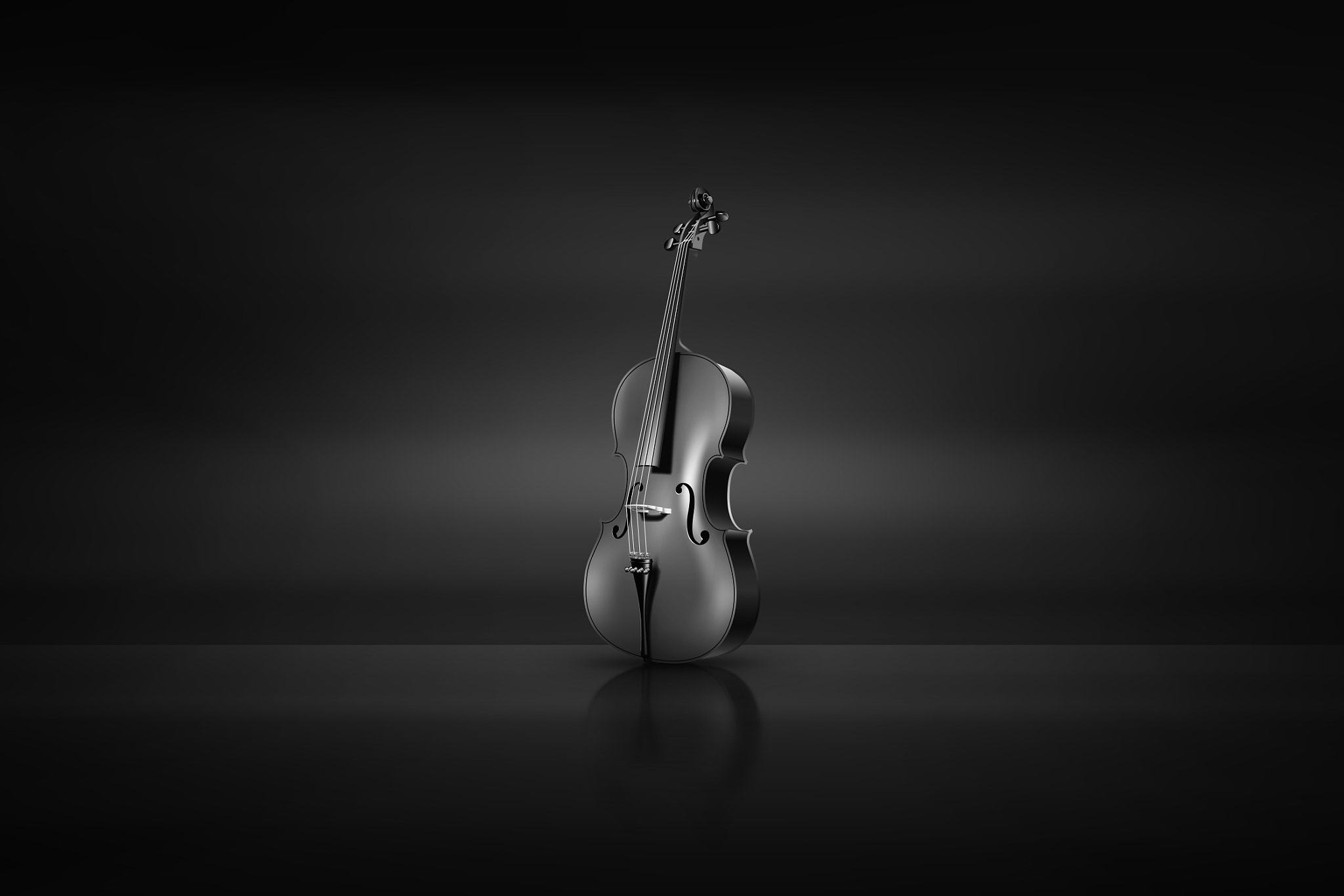 Canon EOS 500D (EOS Rebel T1i / EOS Kiss X3) sample photo. Contrabass photography