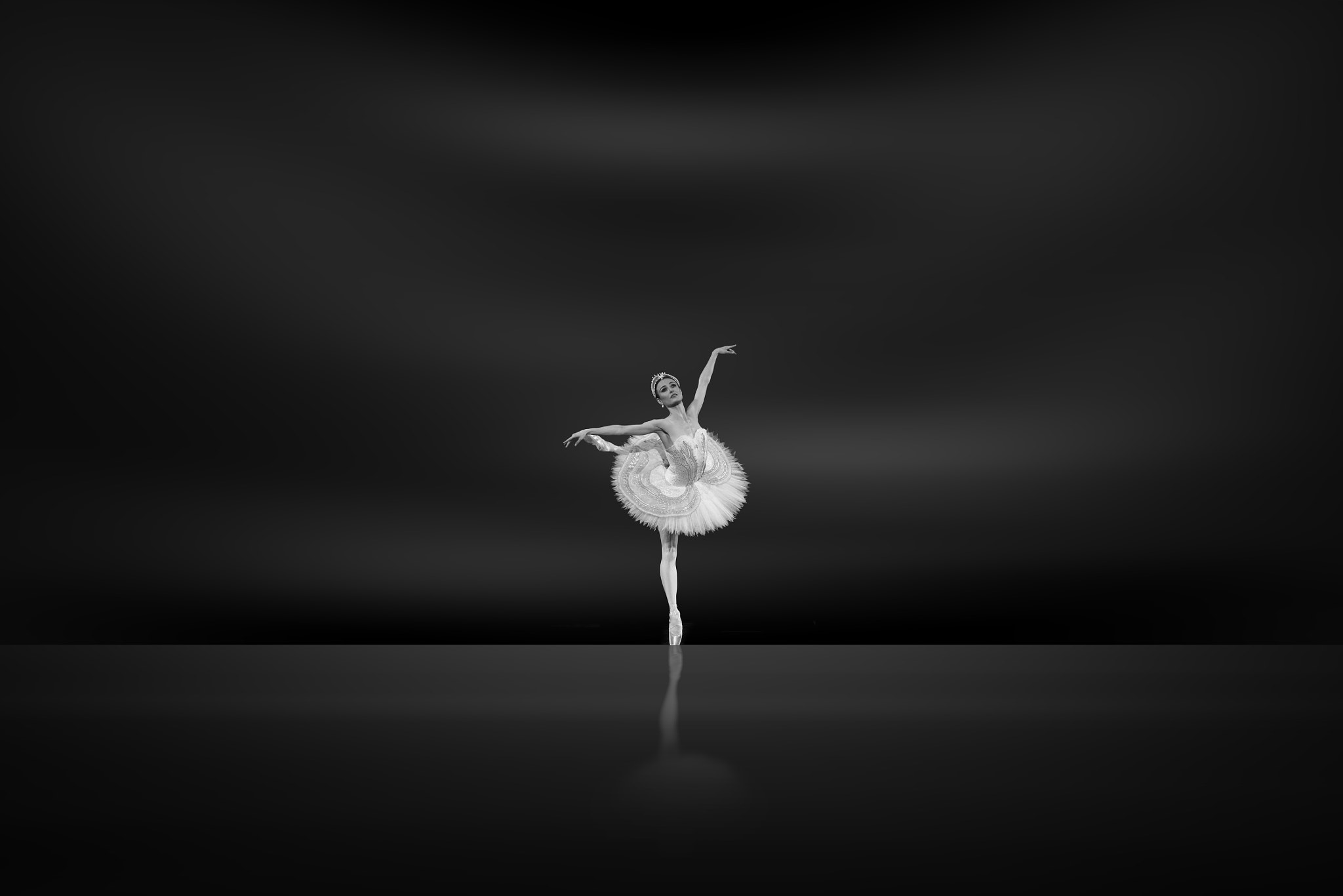 Canon EOS 500D (EOS Rebel T1i / EOS Kiss X3) sample photo. Black swan photography