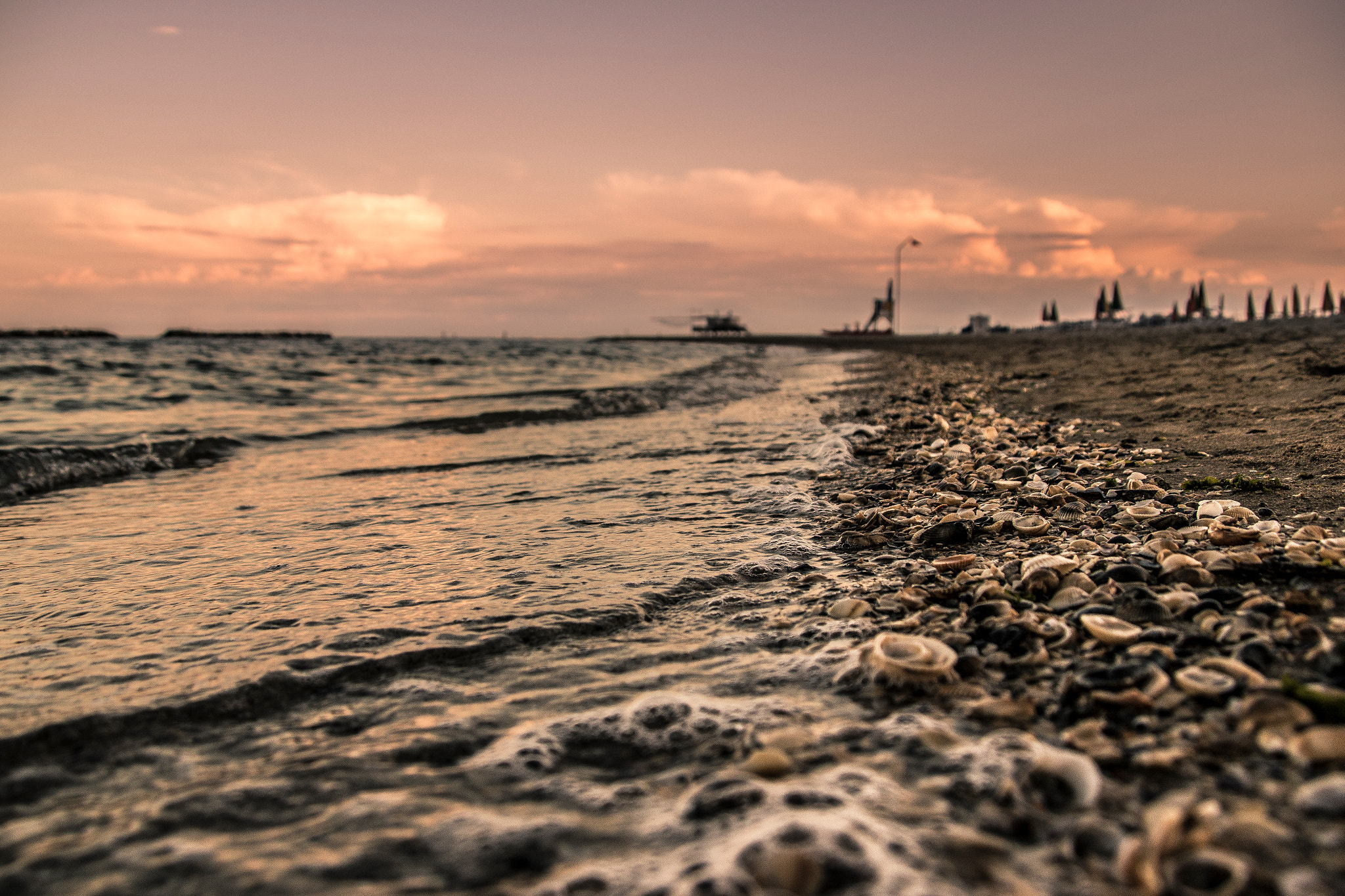 Canon EOS 760D (EOS Rebel T6s / EOS 8000D) + Canon TS-E 90mm F2.8 Tilt-Shift sample photo. Tra conchiglie e tramonto photography