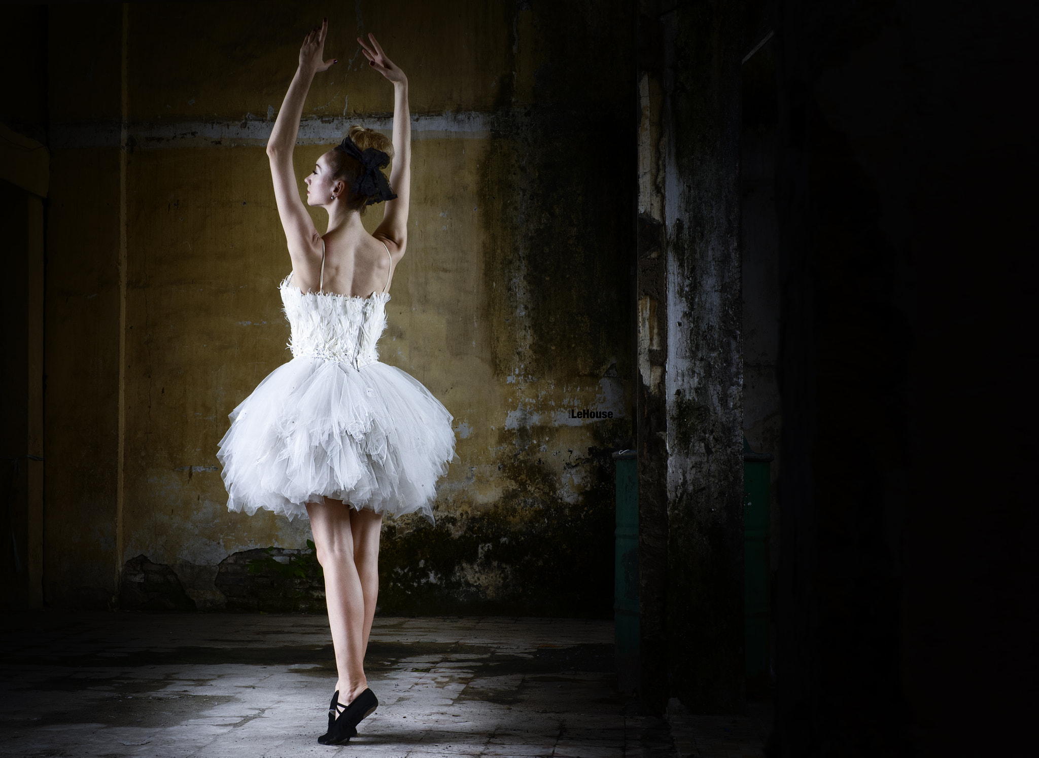 Olympus OM-D E-M1 + Panasonic Leica DG Summilux 25mm F1.4 II ASPH sample photo. Ballet - 2 photography