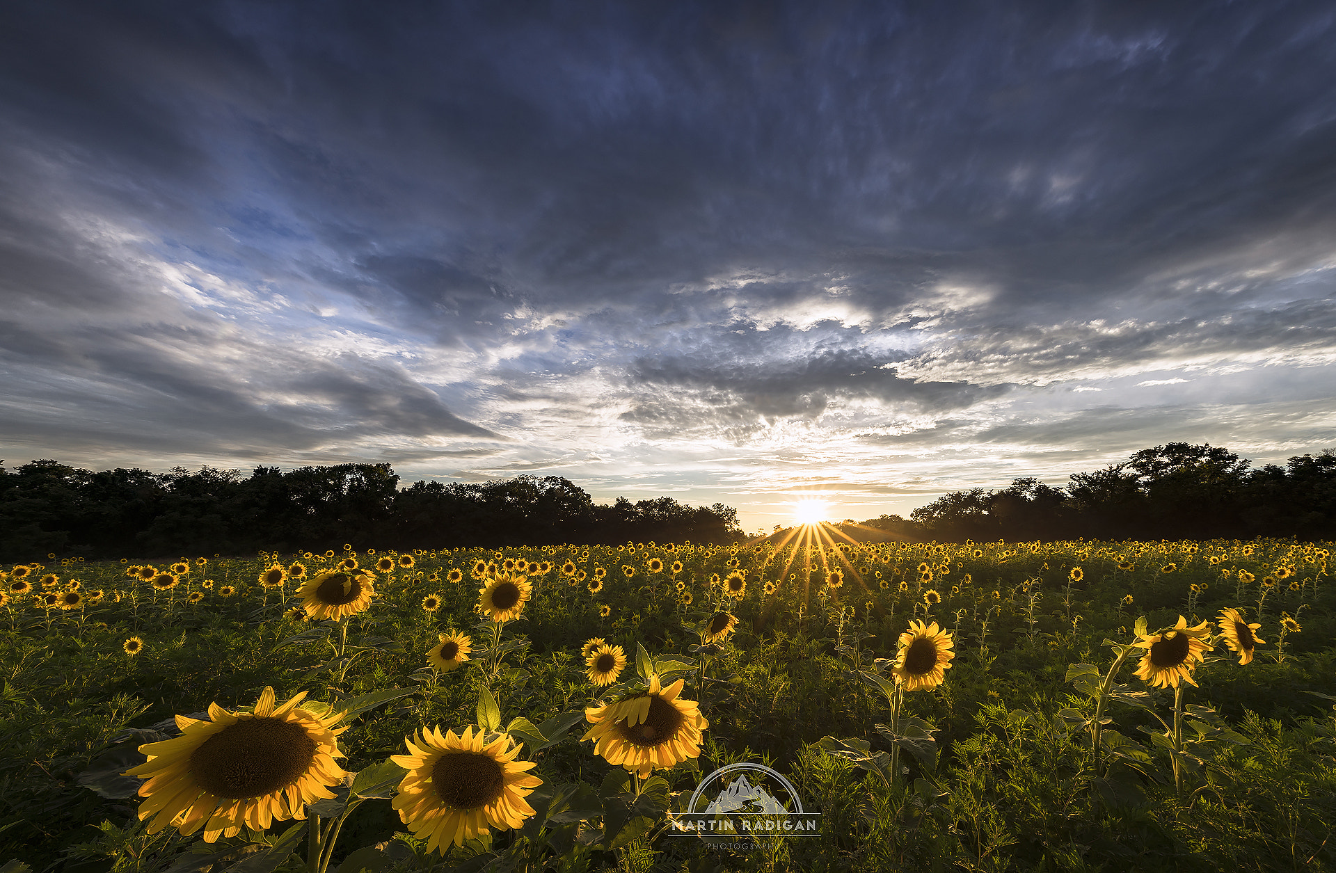 Sony a7R II + Canon EF 11-24mm F4L USM sample photo. Backlit photography