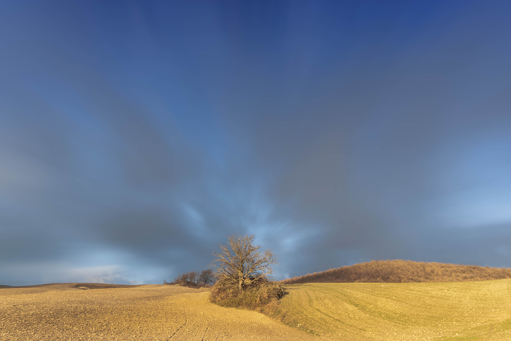 Samyang 14mm F2.8 ED AS IF UMC sample photo. Golden hill photography