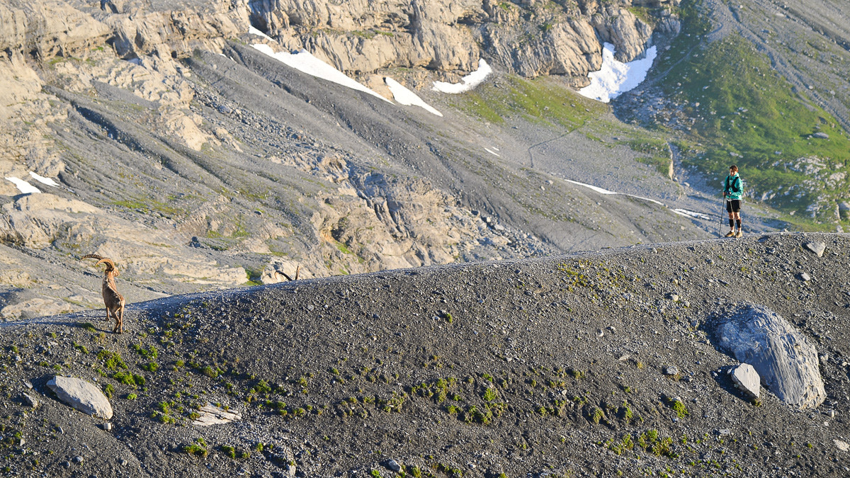 Nikon AF-S Nikkor 70-200mm F4G ED VR sample photo. Eiger ultra trail 2016 photography