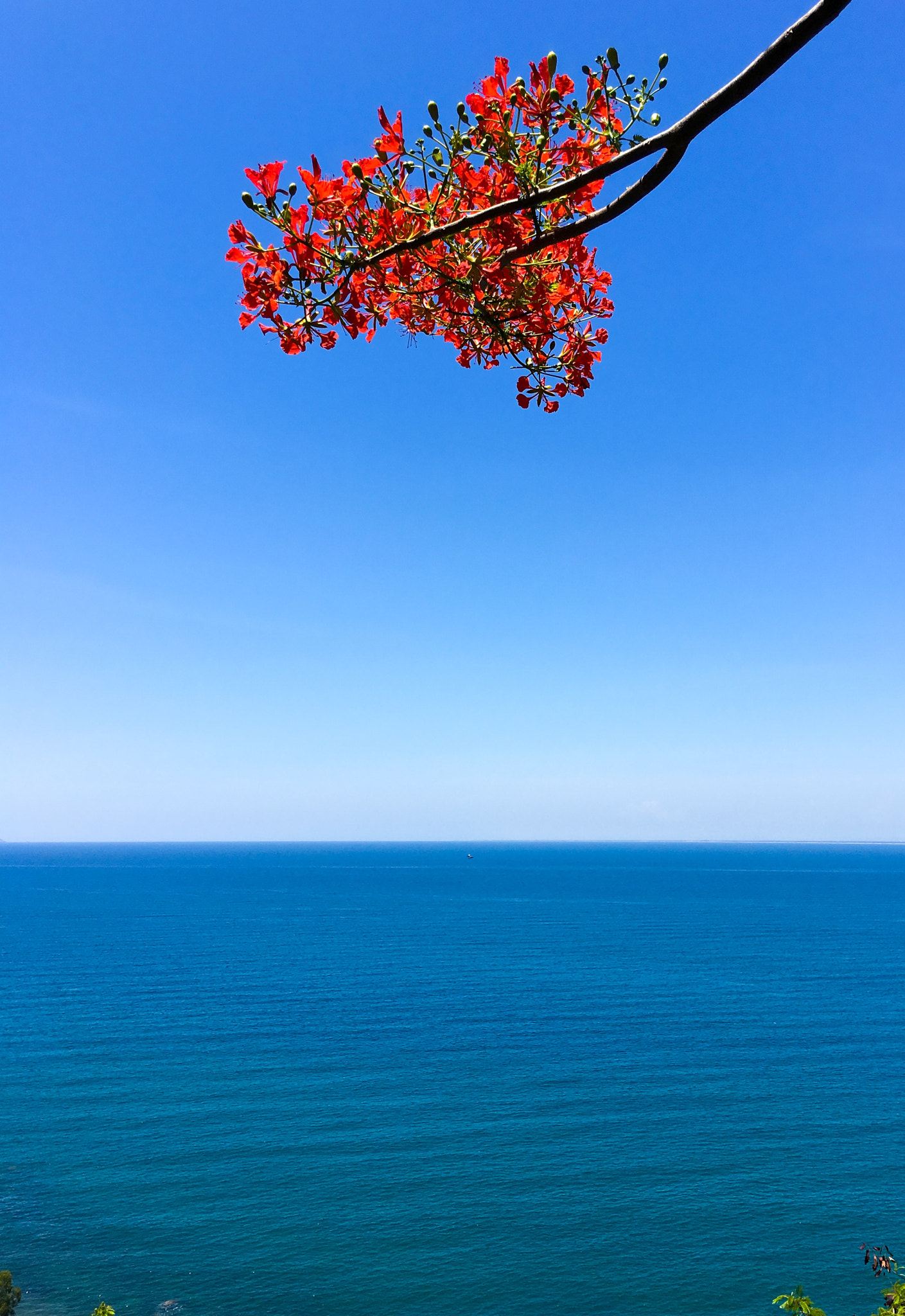 Apple iPhone8,2 sample photo. The sea photography