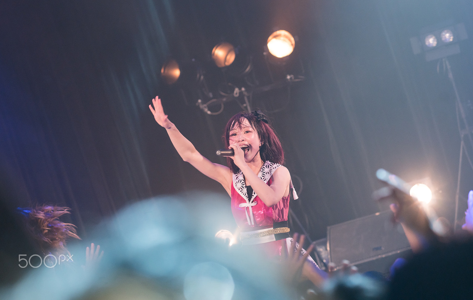 Sony Sonnar T* 135mm F1.8 ZA sample photo. Gang parade photography