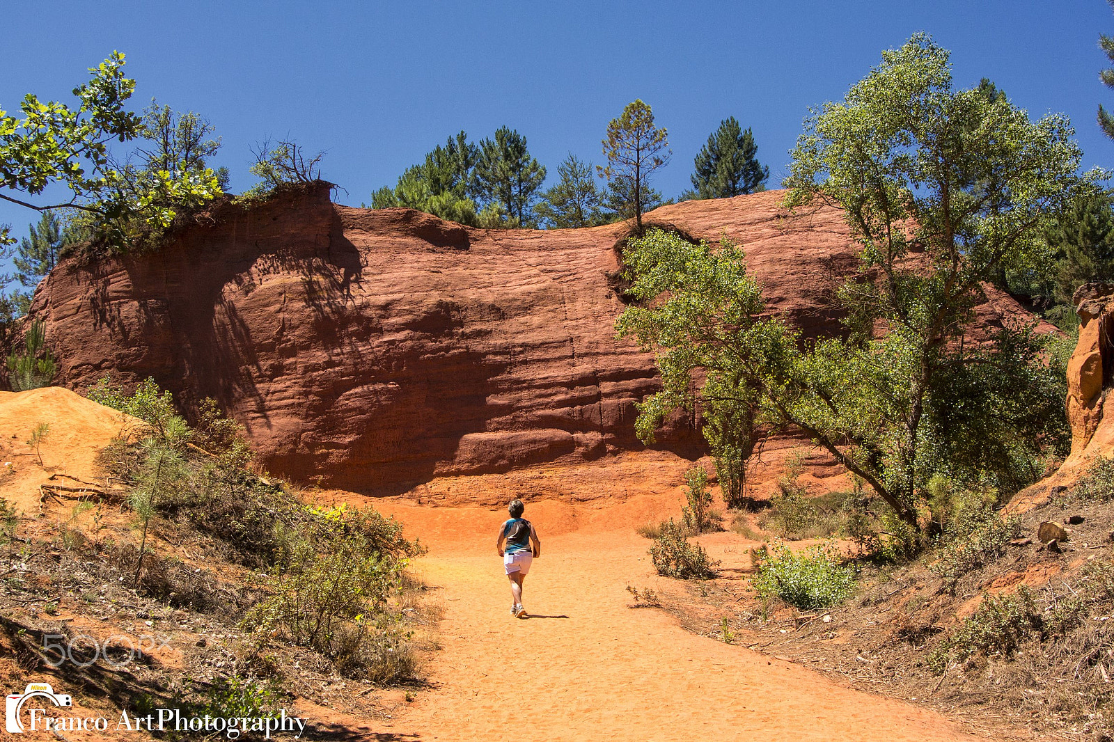 Nikon 1 V2 sample photo. Colorado provencal photography
