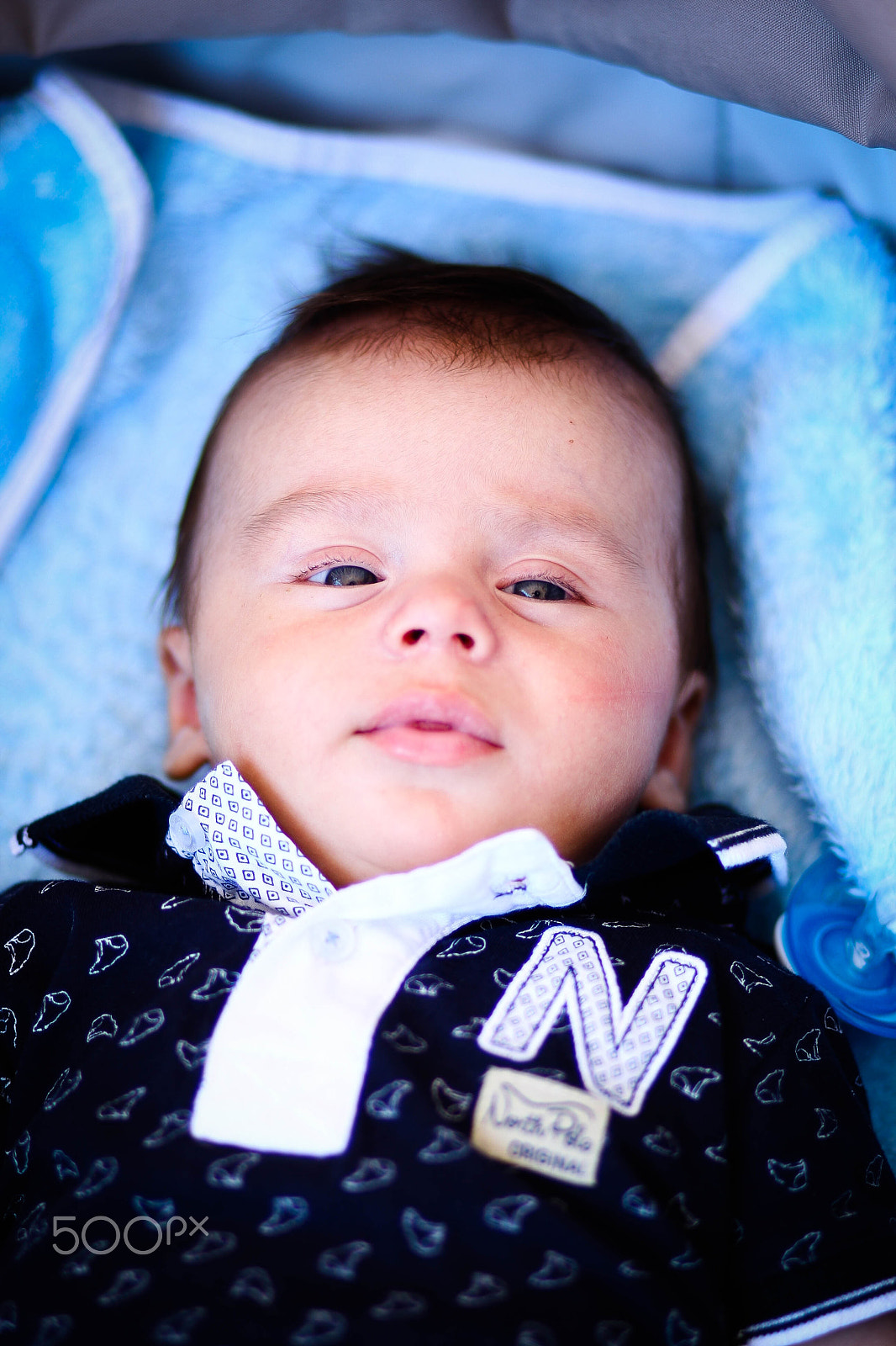 Canon EOS-1D Mark III sample photo. 4x2d0467.jpg photography