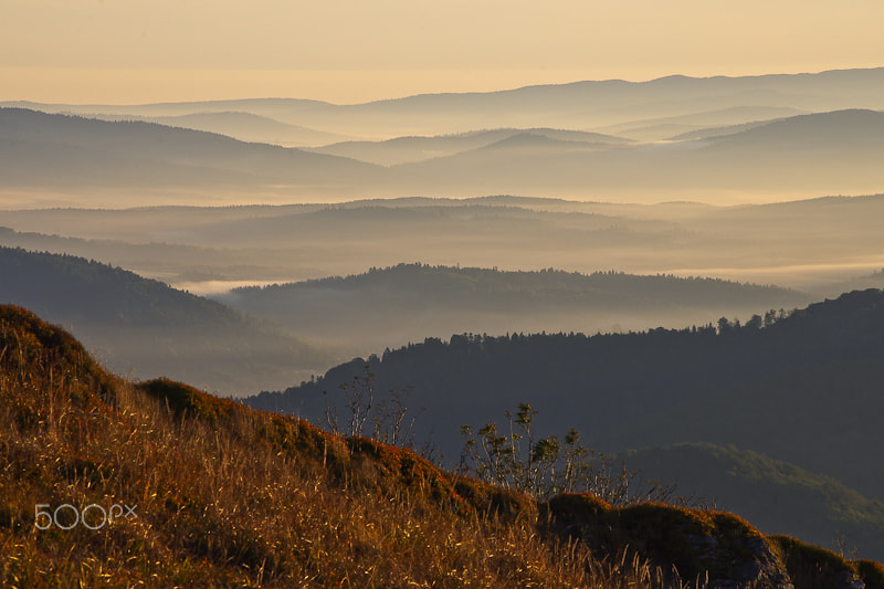 HD Pentax DA 55-300mm F4.0-5.8 ED WR sample photo. Morning photography