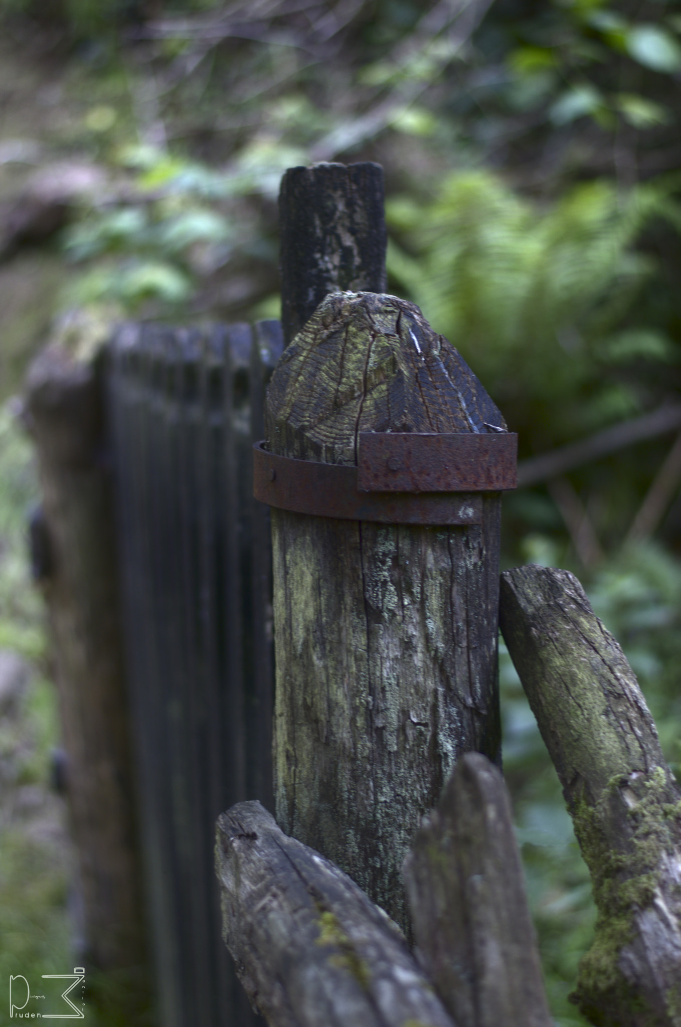 Nikon D70 + Nikon AF-S Nikkor 50mm F1.8G sample photo. La portilla de miravalles photography