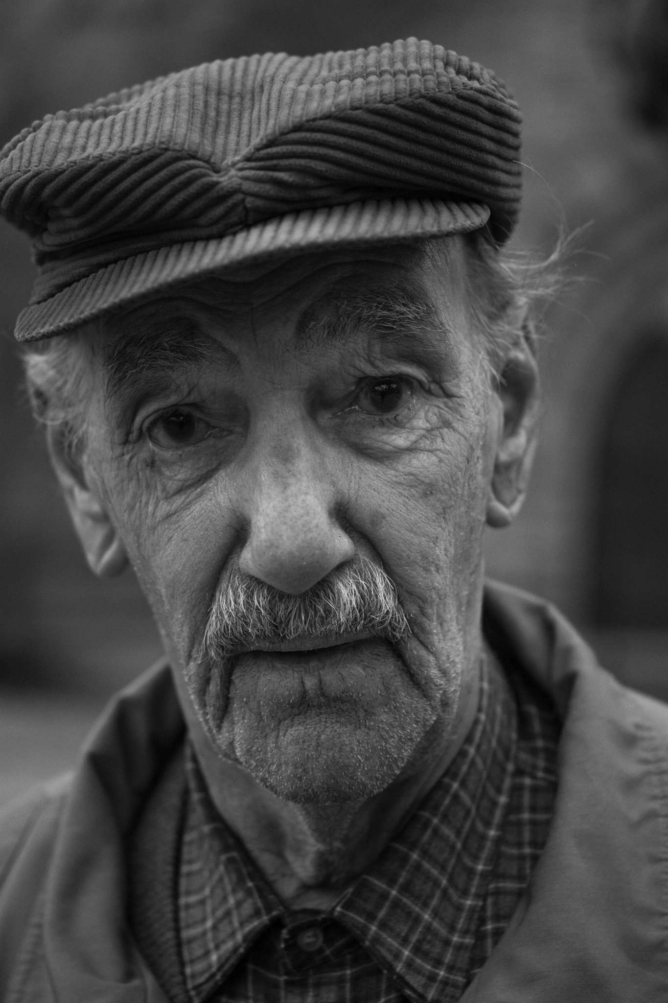 Nikon AF-S Micro-Nikkor 60mm F2.8G ED sample photo. Retrato de viejito de la plaza photography