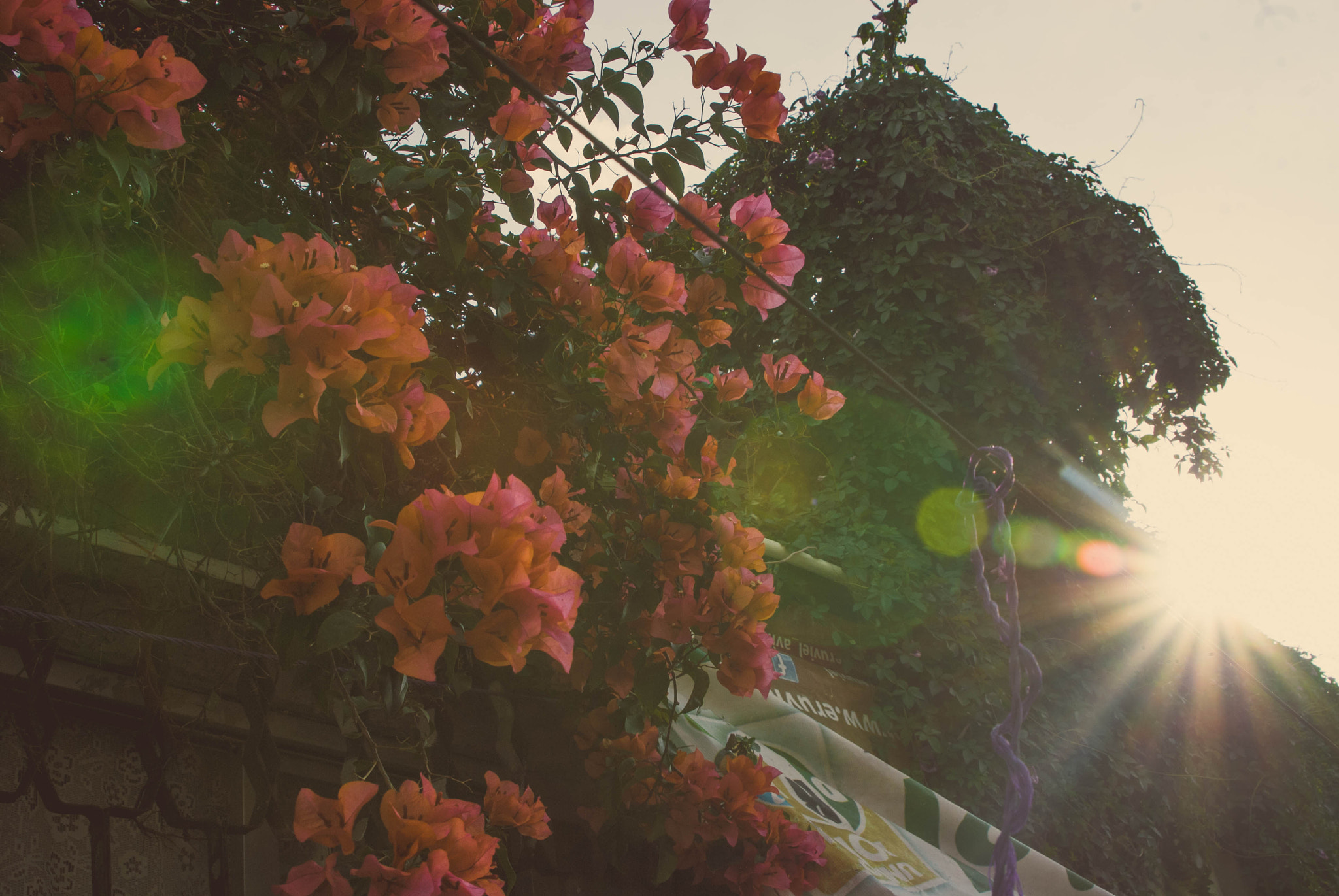 Nikon D200 sample photo. Carita sonriente. photography