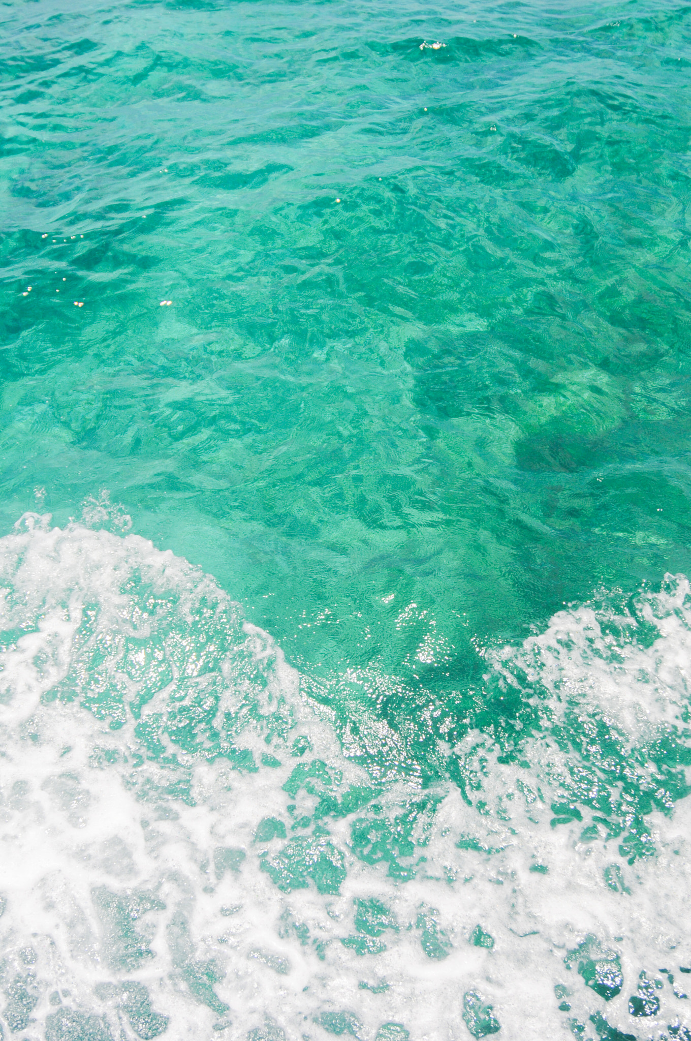 Nikon D300S sample photo. Green sea photography
