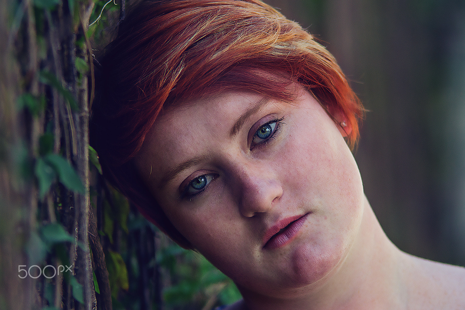 Sigma 70-200mm F2.8 EX DG OS HSM sample photo. Morgan c photography