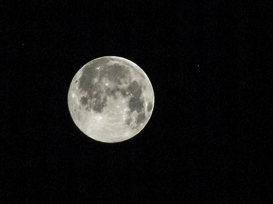 Nikon D200 sample photo. Luna photography