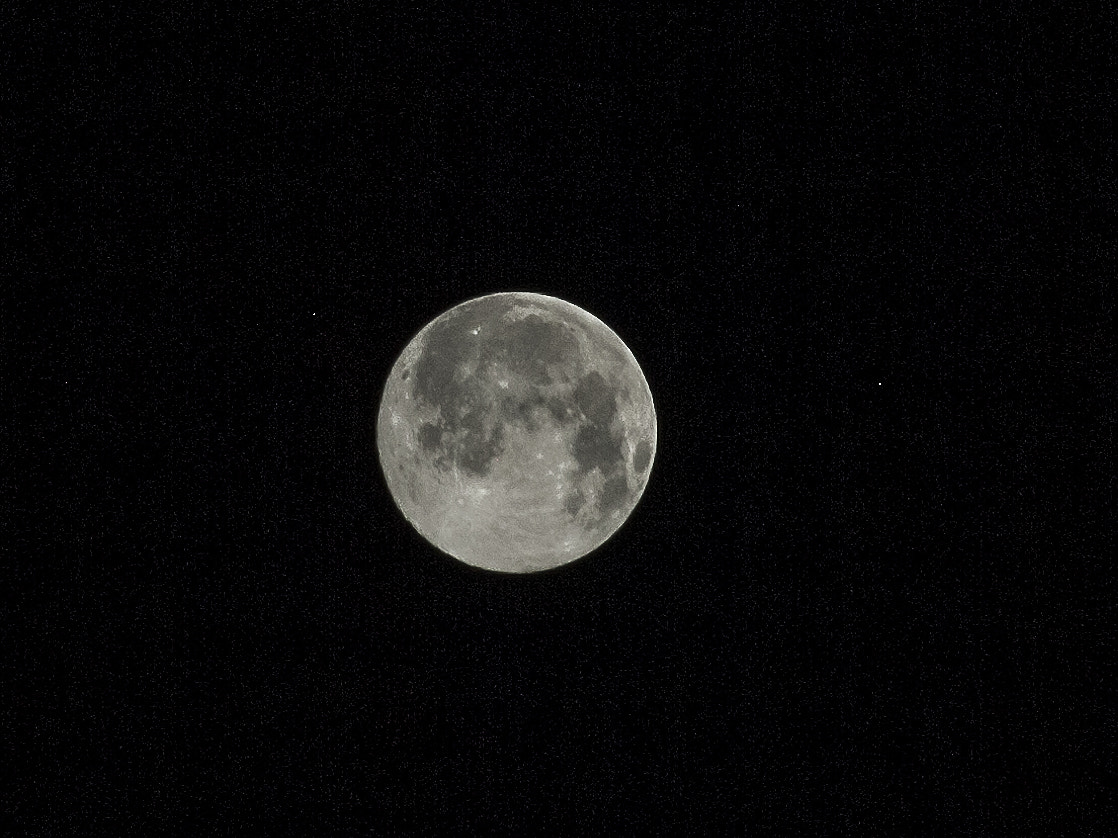 Nikon D200 sample photo. 月 photography