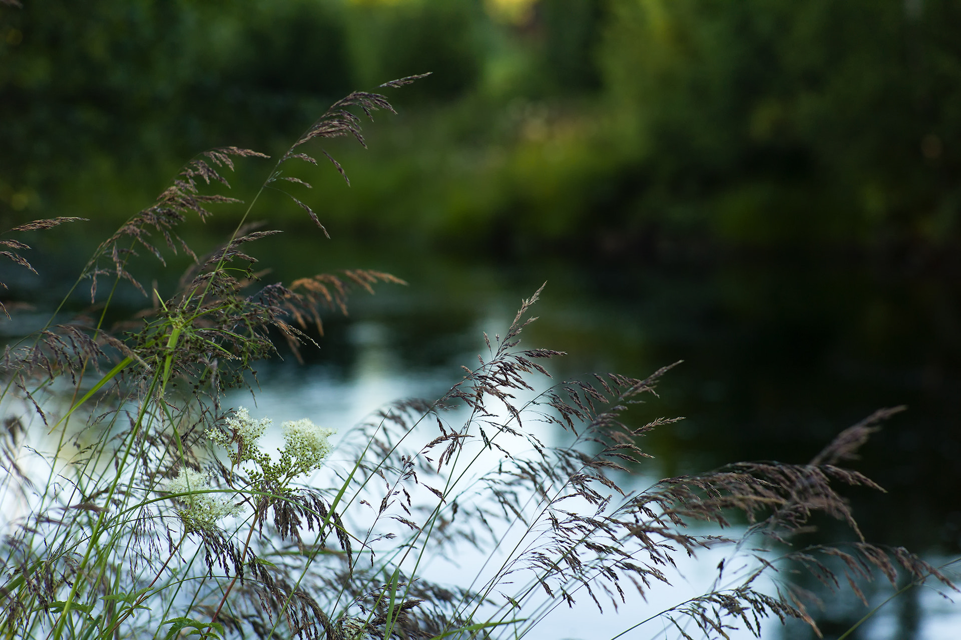 Leica M9 + Leica Summicron-M 90mm f/2 (II) sample photo. Straw in the night photography