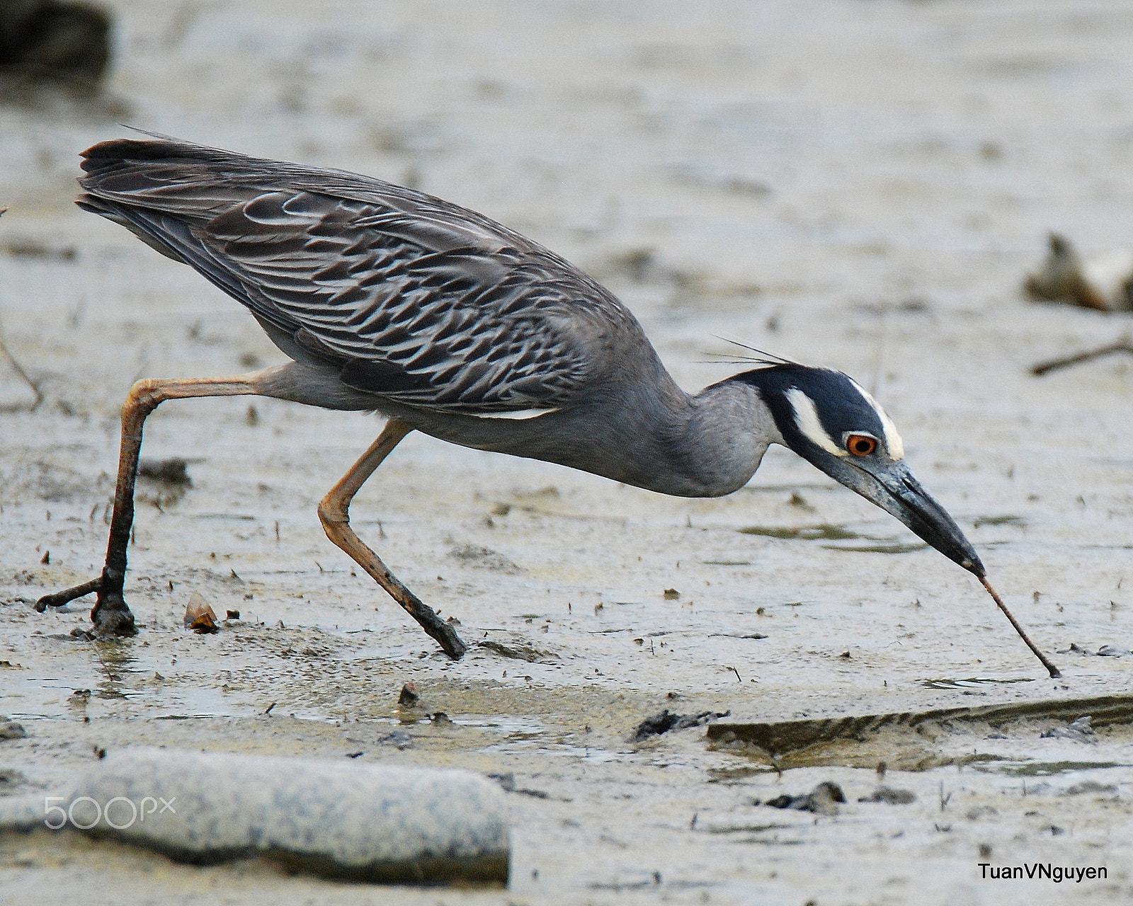 Nikon D80 sample photo. Feeding time photography