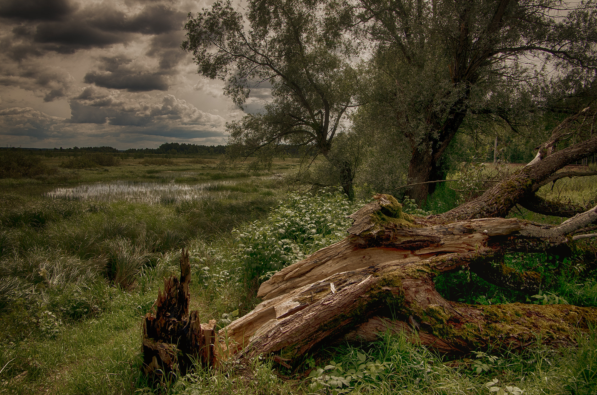 Pentax smc DA 16-45mm F4 ED AL sample photo. Backwater photography