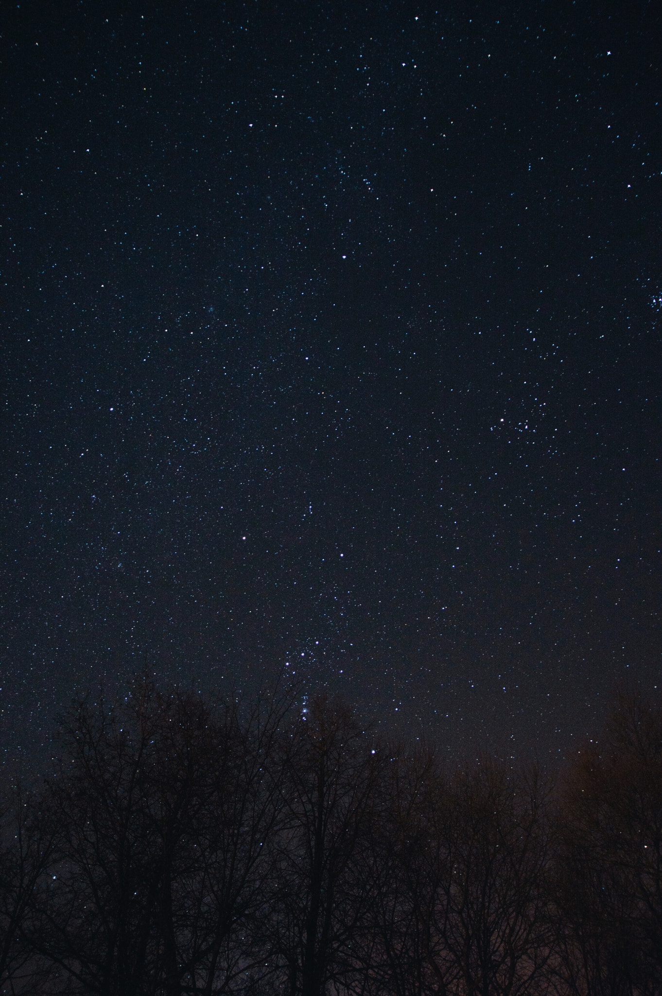 Sigma 17-70mm F2.8-4 DC Macro OS HSM sample photo. Yet another night sky photography