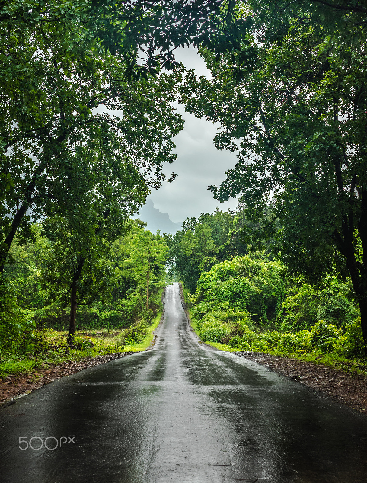 Nikon D750 + AF Zoom-Nikkor 35-70mm f/2.8D sample photo. Nature frame photography