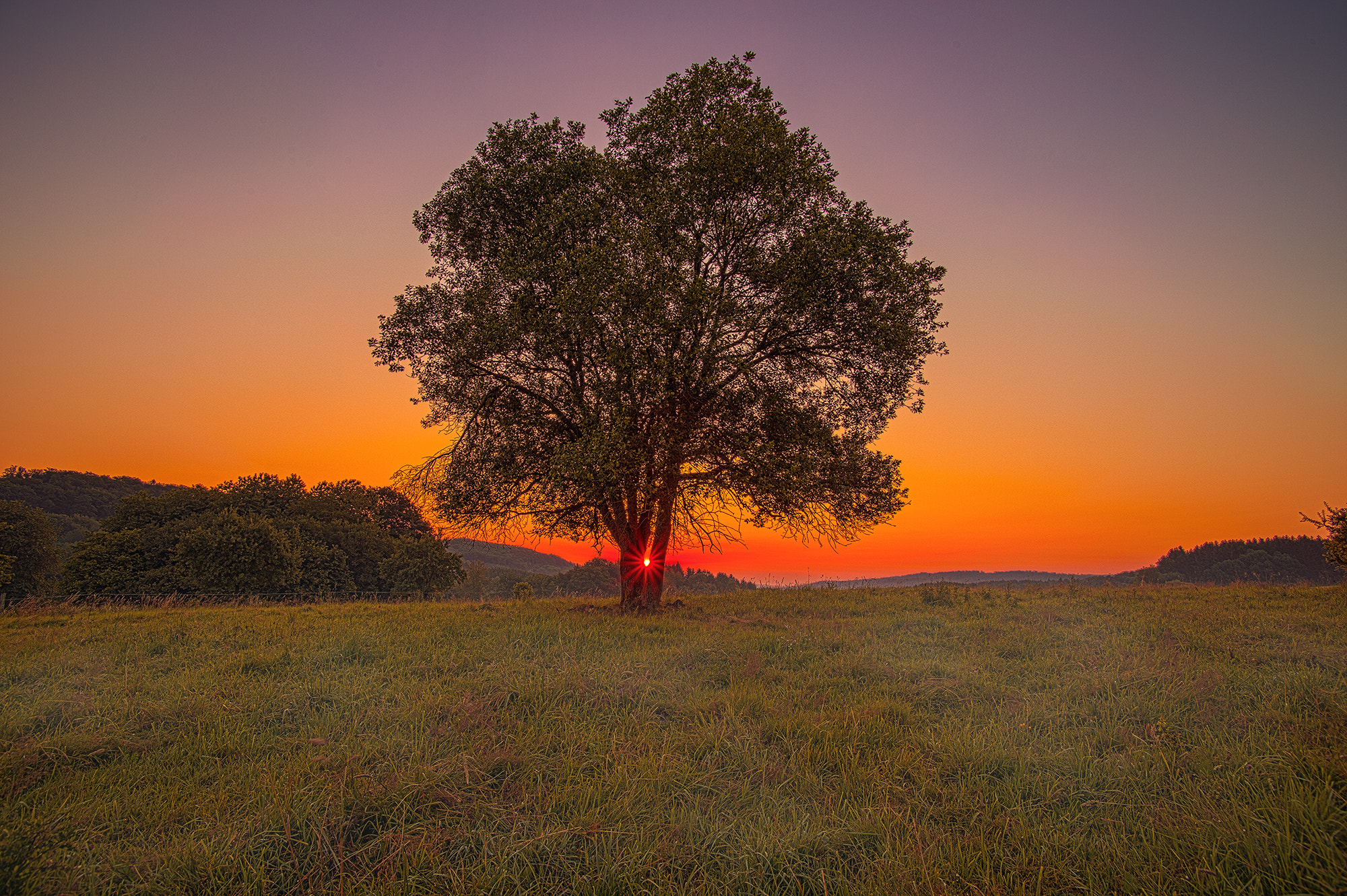 Tokina AT-X Pro 12-24mm F4 (IF) DX sample photo. Sunrise photography