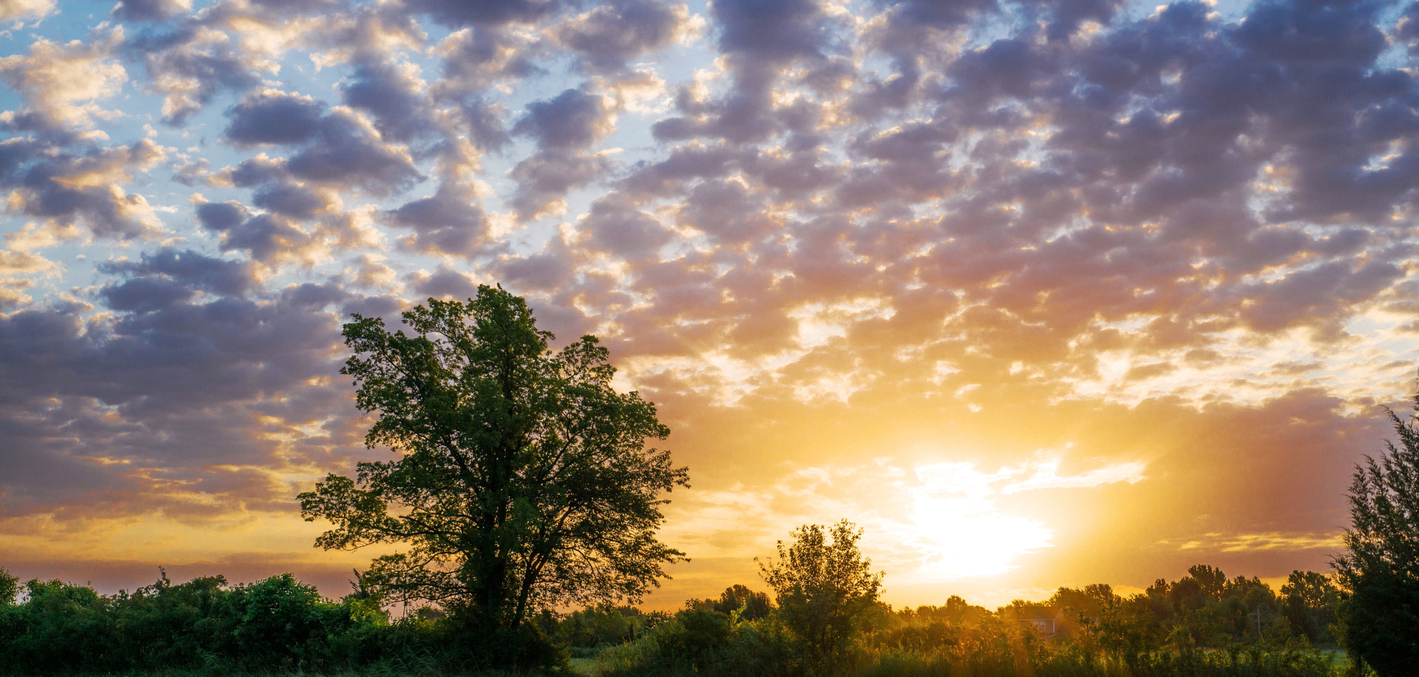 Leica APO-Summicron-M 50mm F2 ASPH sample photo. Oklahoma sun rise. photography