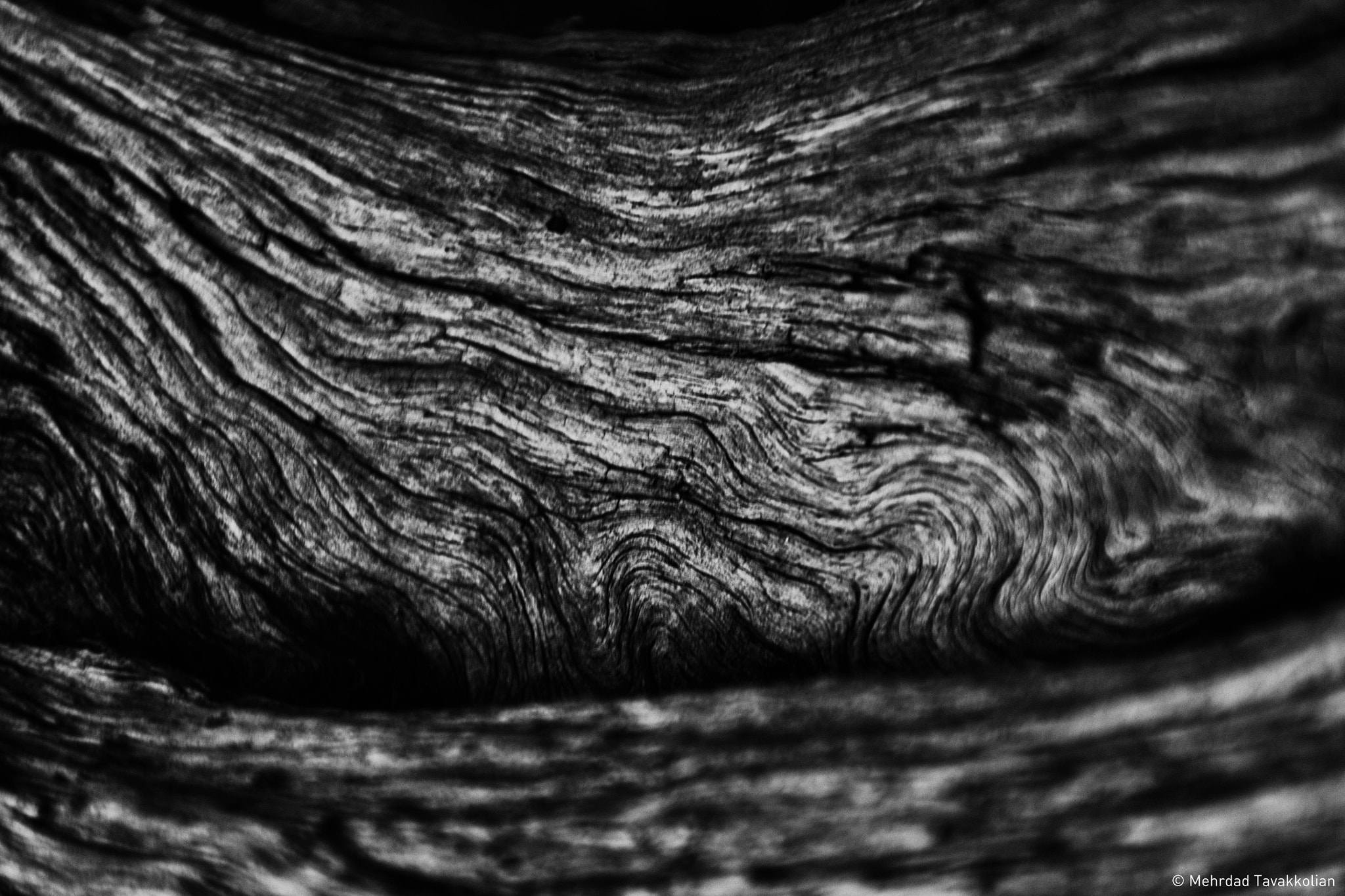 Canon EF 28-300mm F3.5-5.6L IS USM sample photo. Wood photography