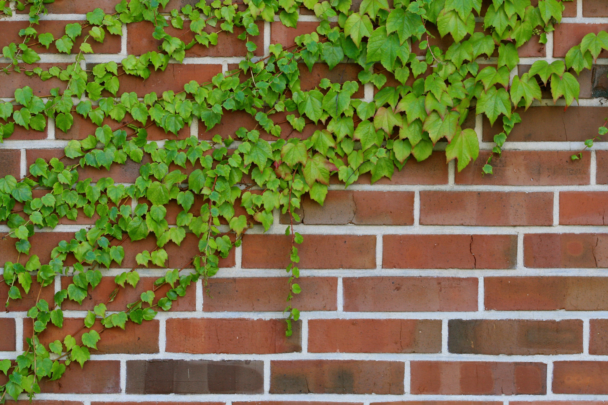 Sigma 105mm F2.8 EX DG OS HSM sample photo