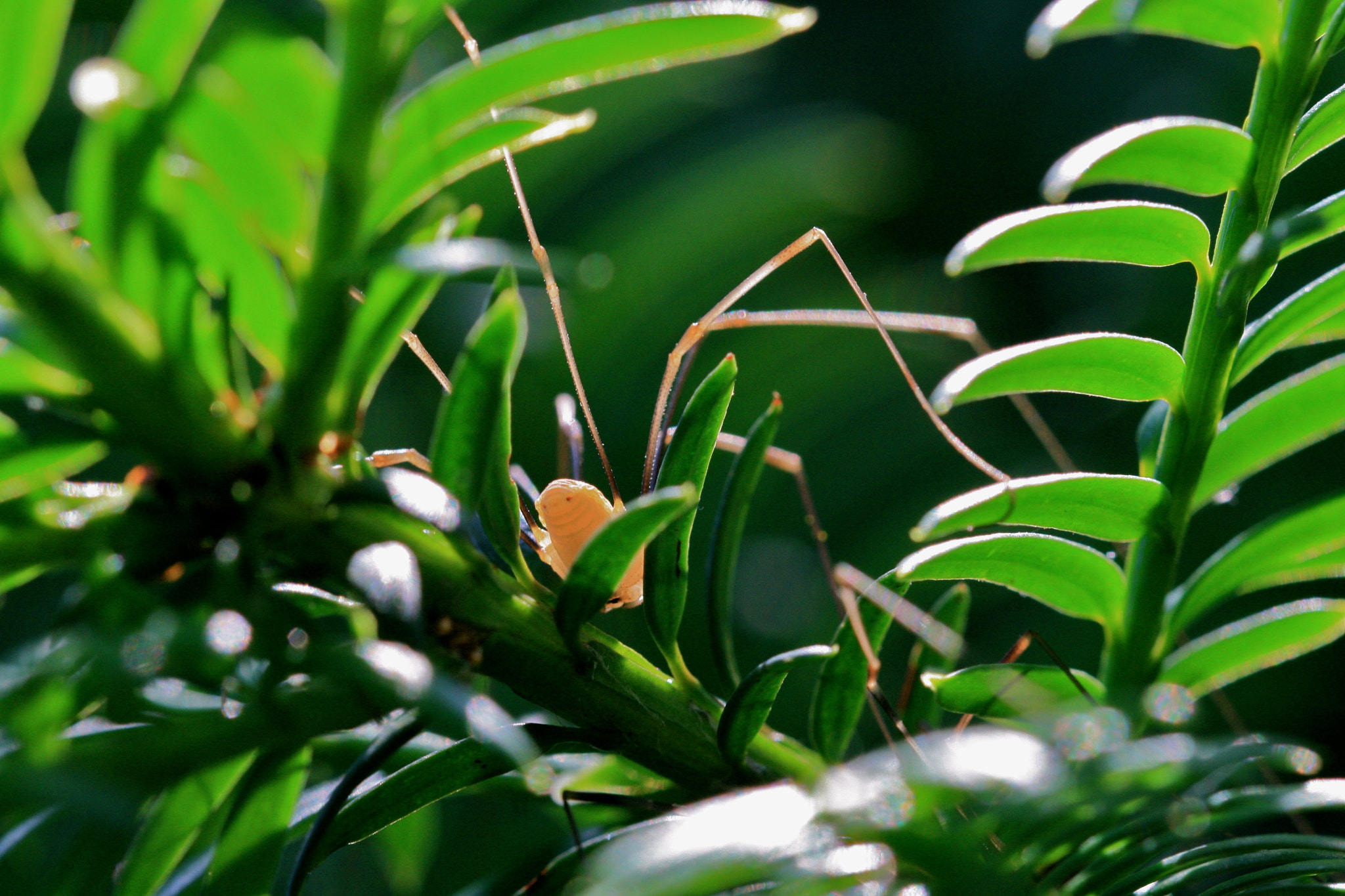 Sigma 105mm F2.8 EX DG OS HSM sample photo