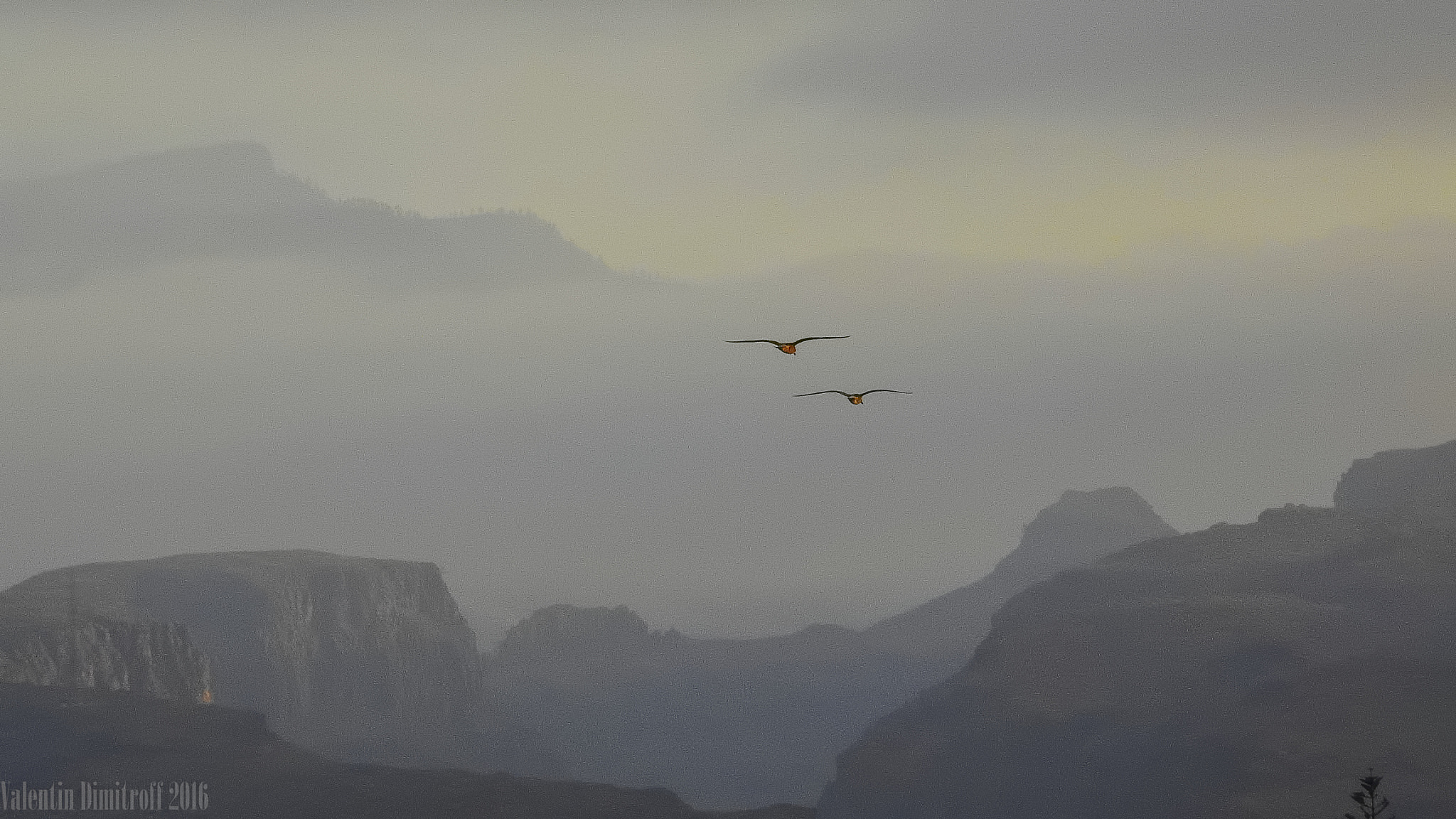 AF Zoom-Nikkor 80-200mm f/2.8 ED sample photo. Together photography