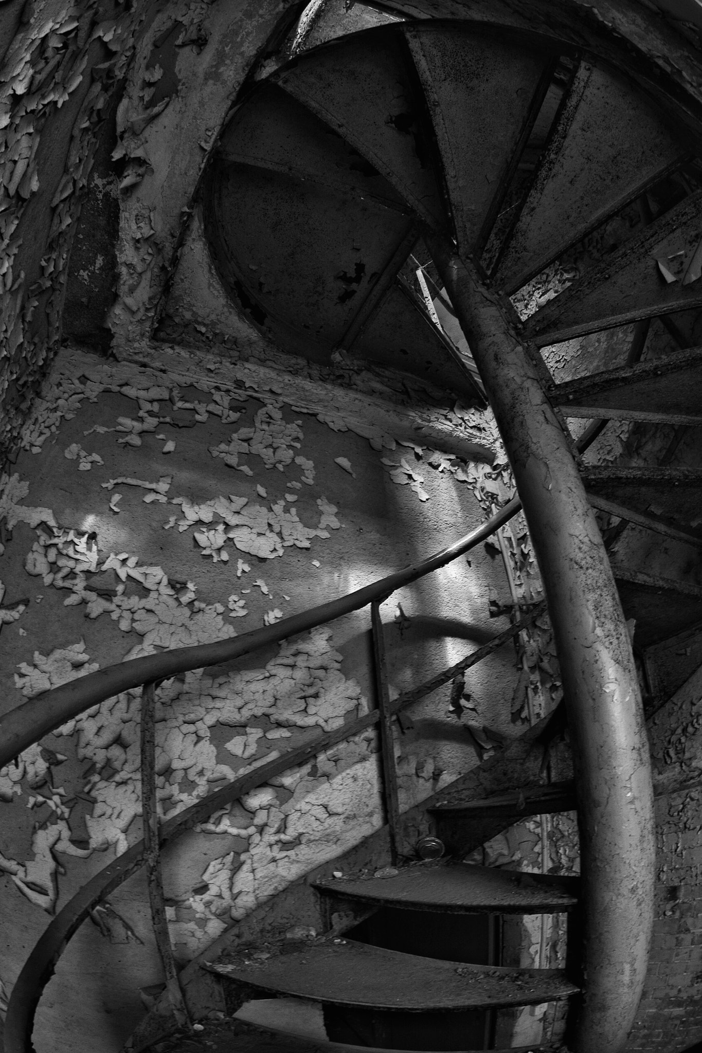 Nikon AF DX Fisheye-Nikkor 10.5mm F2.8G ED sample photo. Stairway to heaven  photography