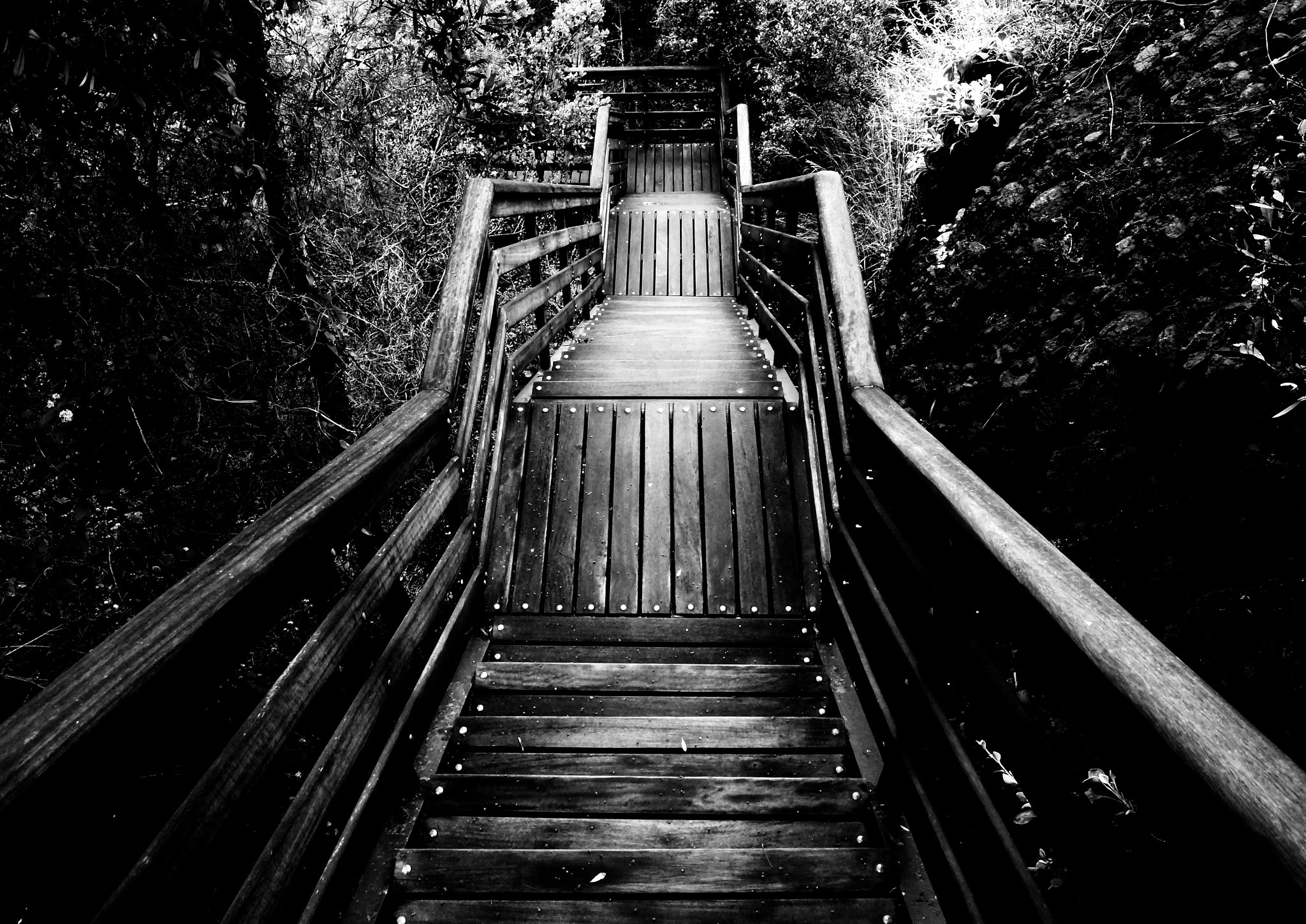 Sony SLT-A57 sample photo. Stairway photography