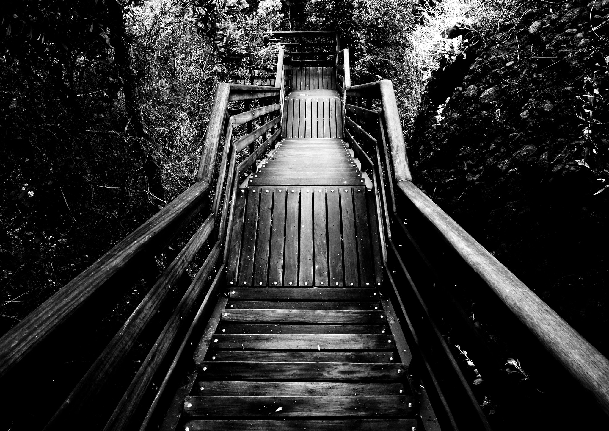 Sony DT 18-55mm F3.5-5.6 SAM II sample photo. Stairway photography