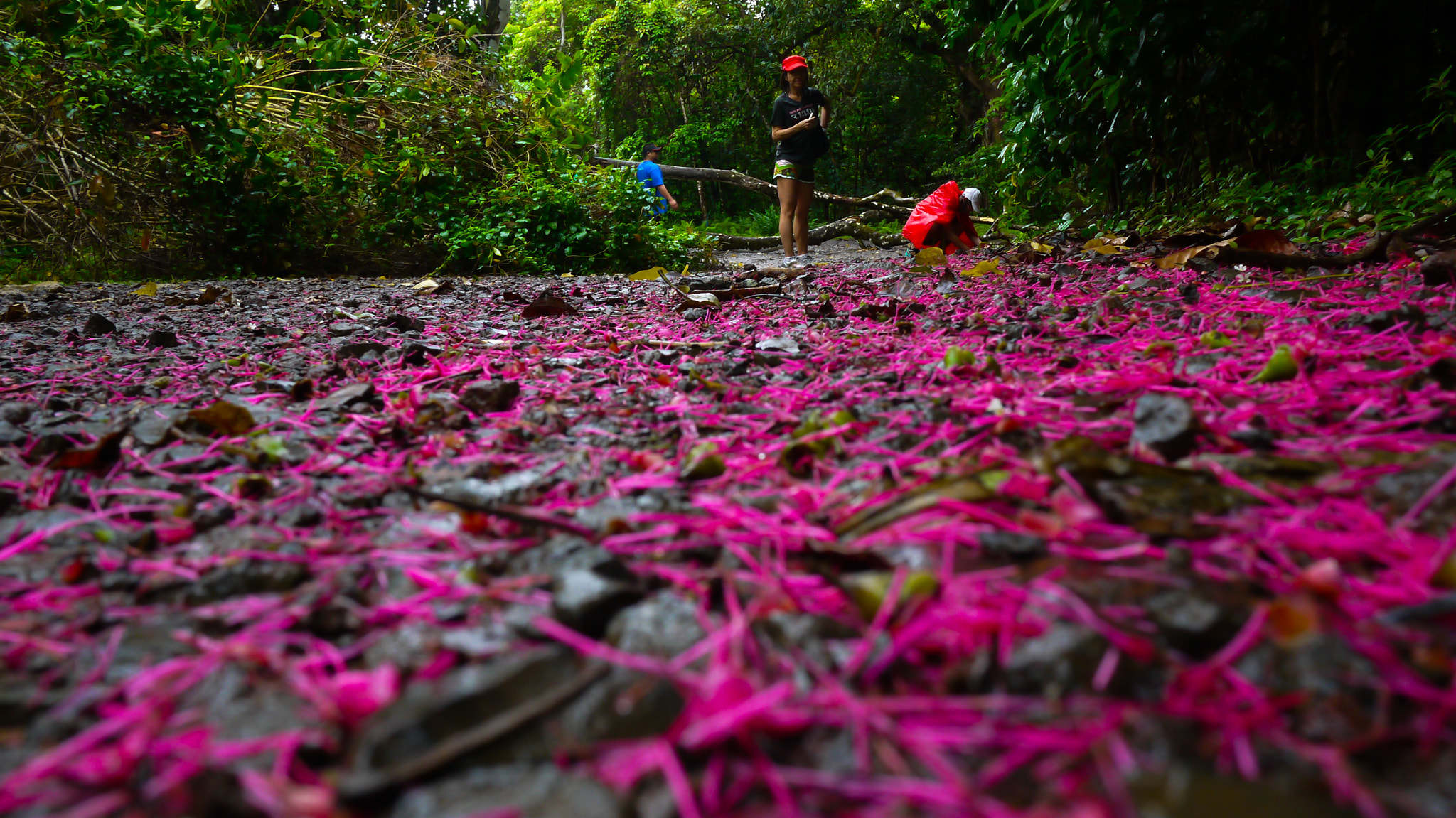 Panasonic Lumix DMC-GF3 + Panasonic Lumix G 14mm F2.5 ASPH sample photo. Pink carpet photography