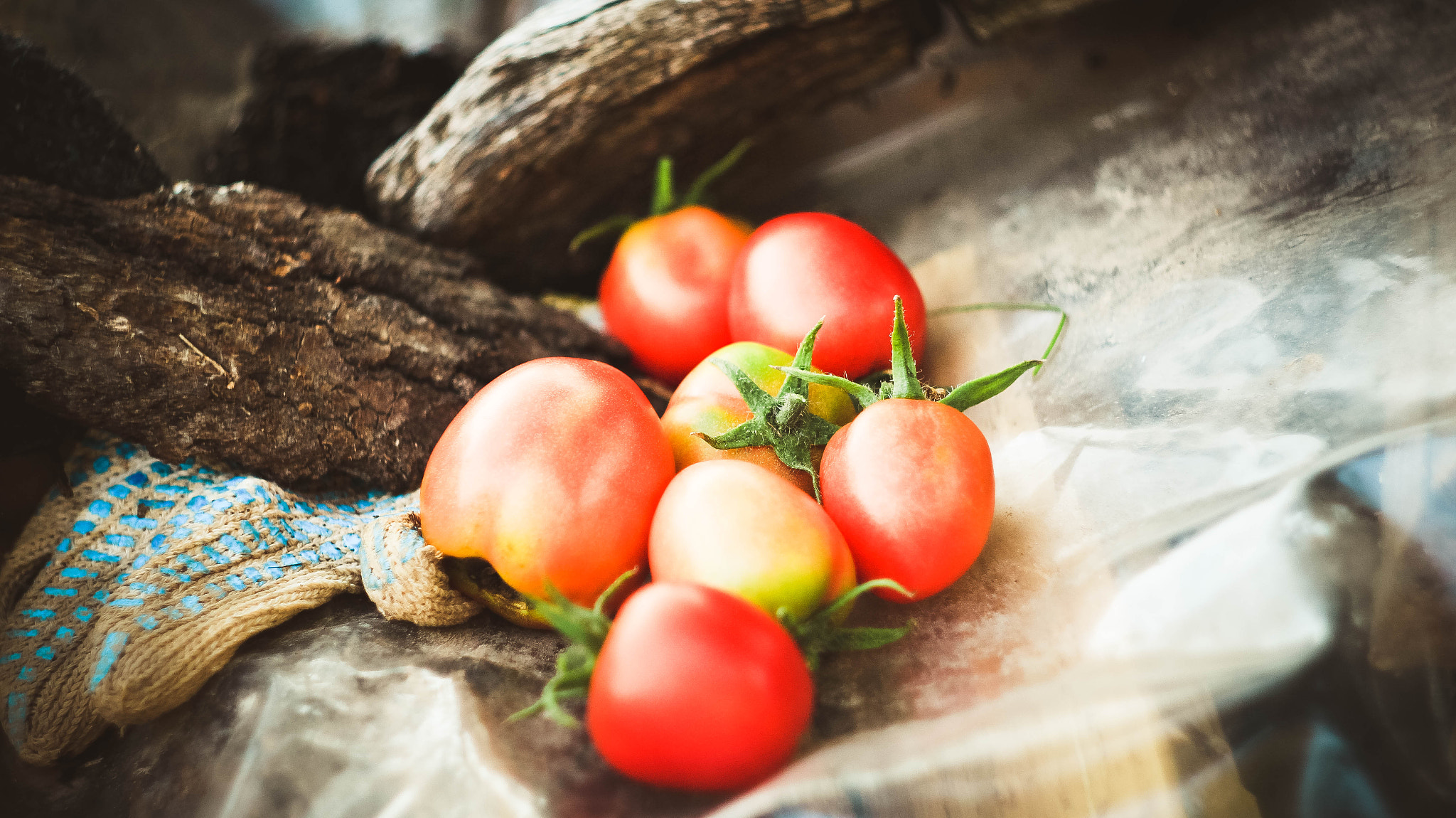 Canon EF 35-80mm f/4-5.6 sample photo. Tomato photography