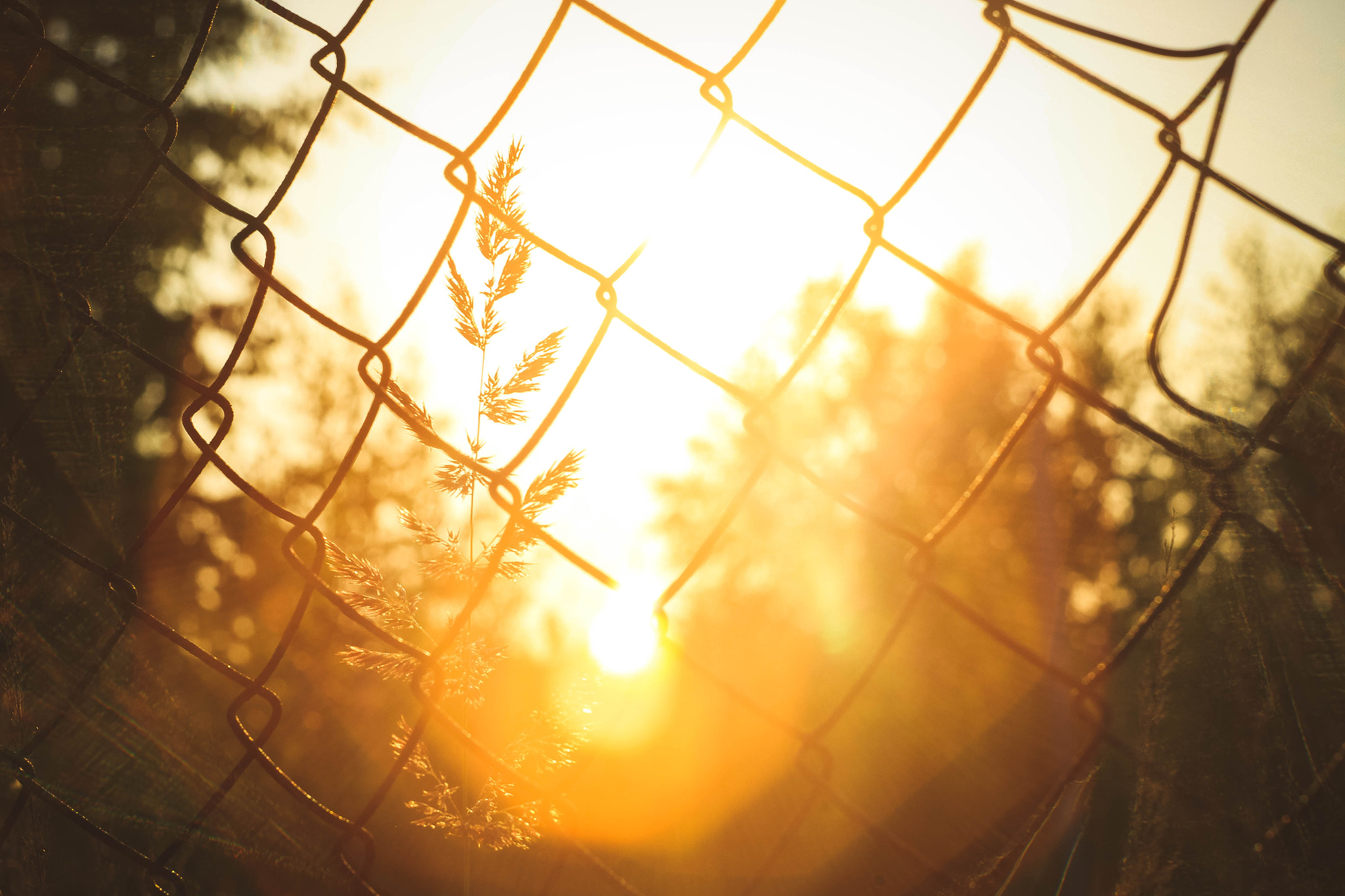 Canon EF 35-80mm f/4-5.6 sample photo. Sun photography