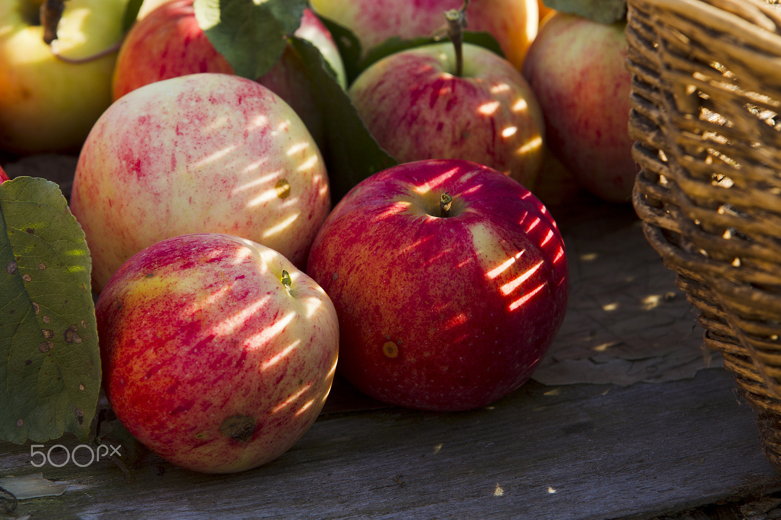 Canon EOS-1D Mark IV sample photo. Apples on the table photography