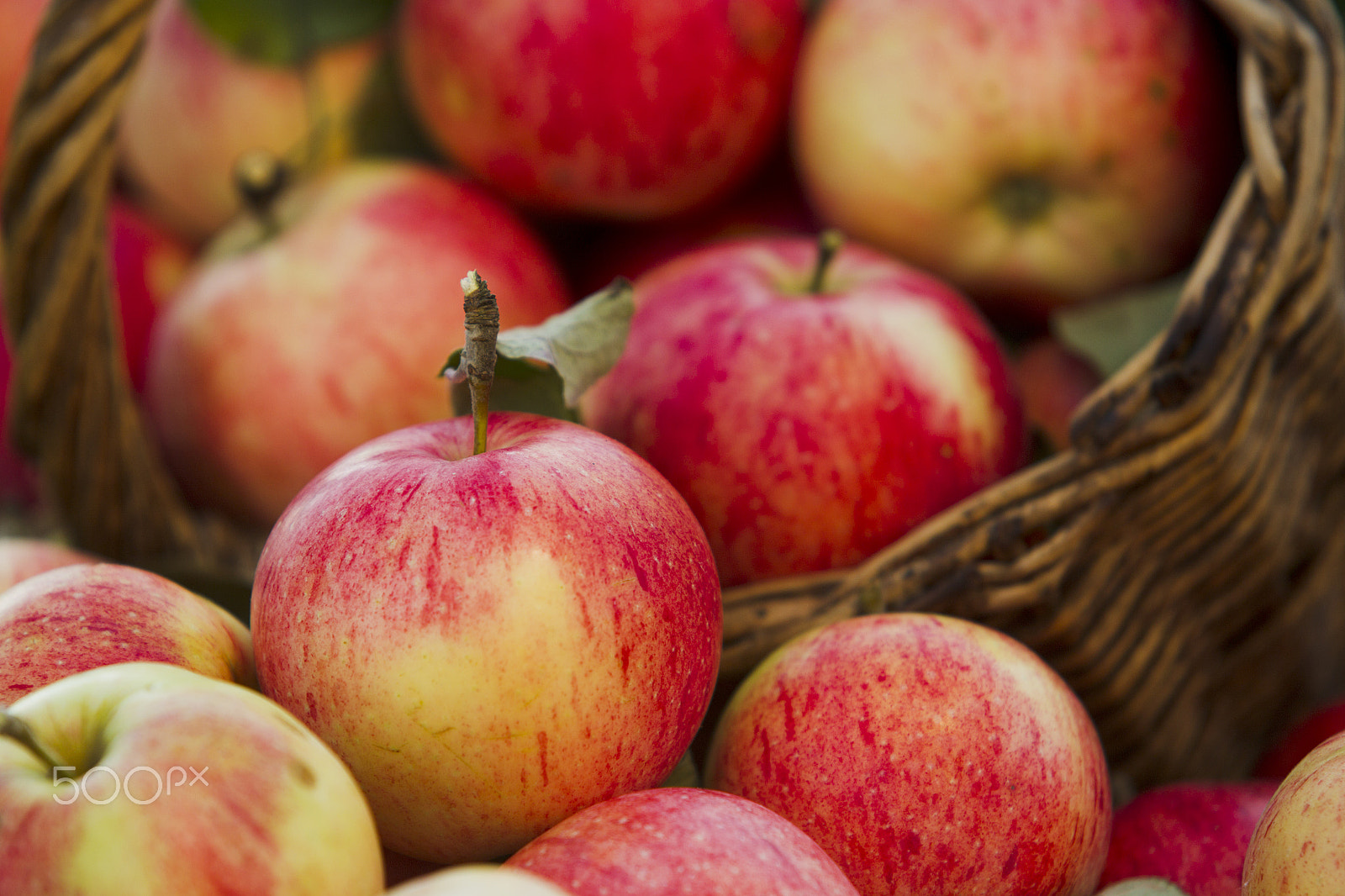 Canon EOS-1D Mark IV sample photo. Apples photography