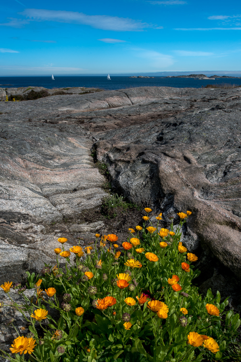 Nikon PC-E Nikkor 24mm F3.5D ED Tilt-Shift sample photo. Kåløy photography