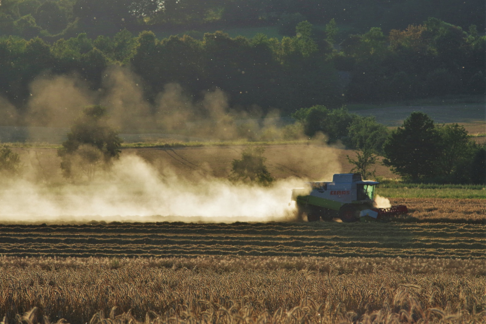 Pentax K-50 sample photo. Claas photography