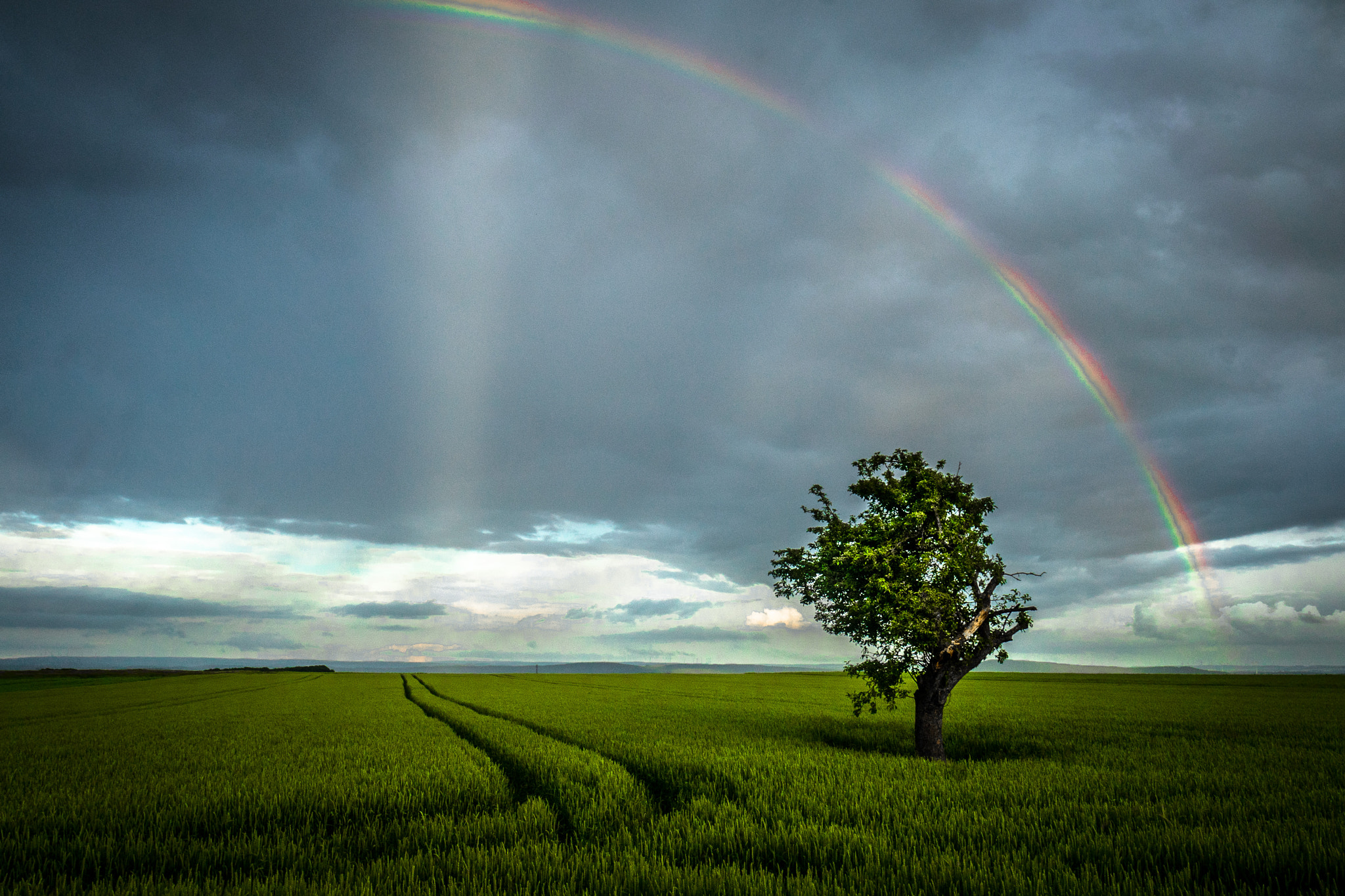 Sony a7R + Sony E 10-18mm F4 OSS sample photo. Under the rainbow photography