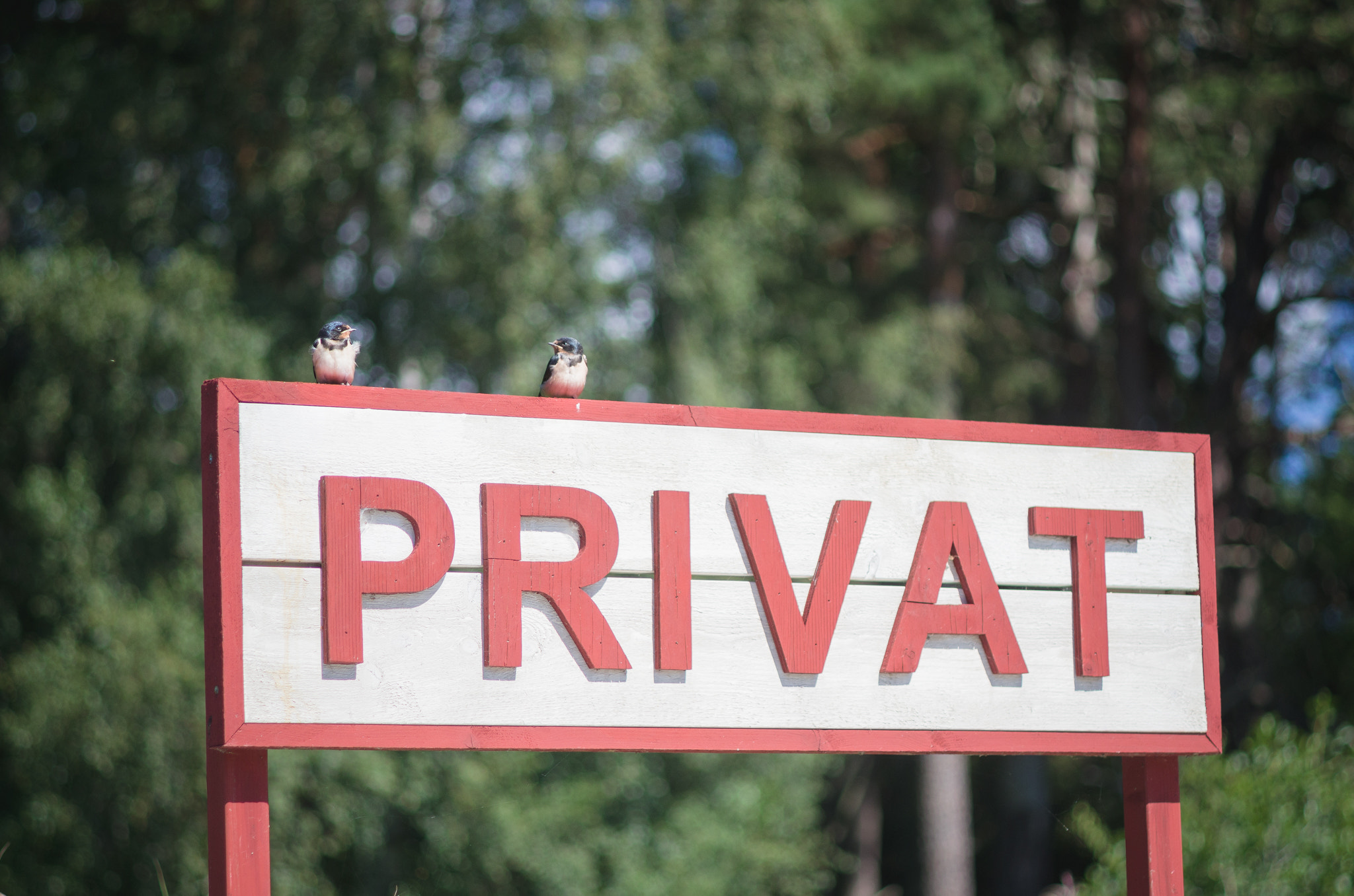 Pentax smc DA 70mm F2.4 AL Limited sample photo. "did you read the sign?" photography