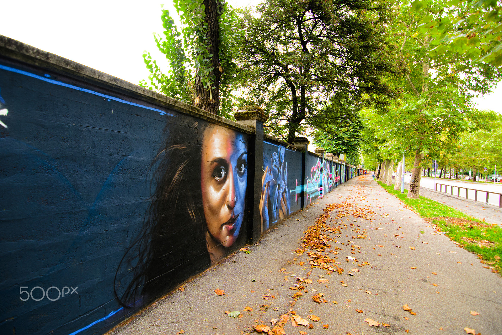 Nikon D3100 sample photo. Fall colours and graffiti in milan photography