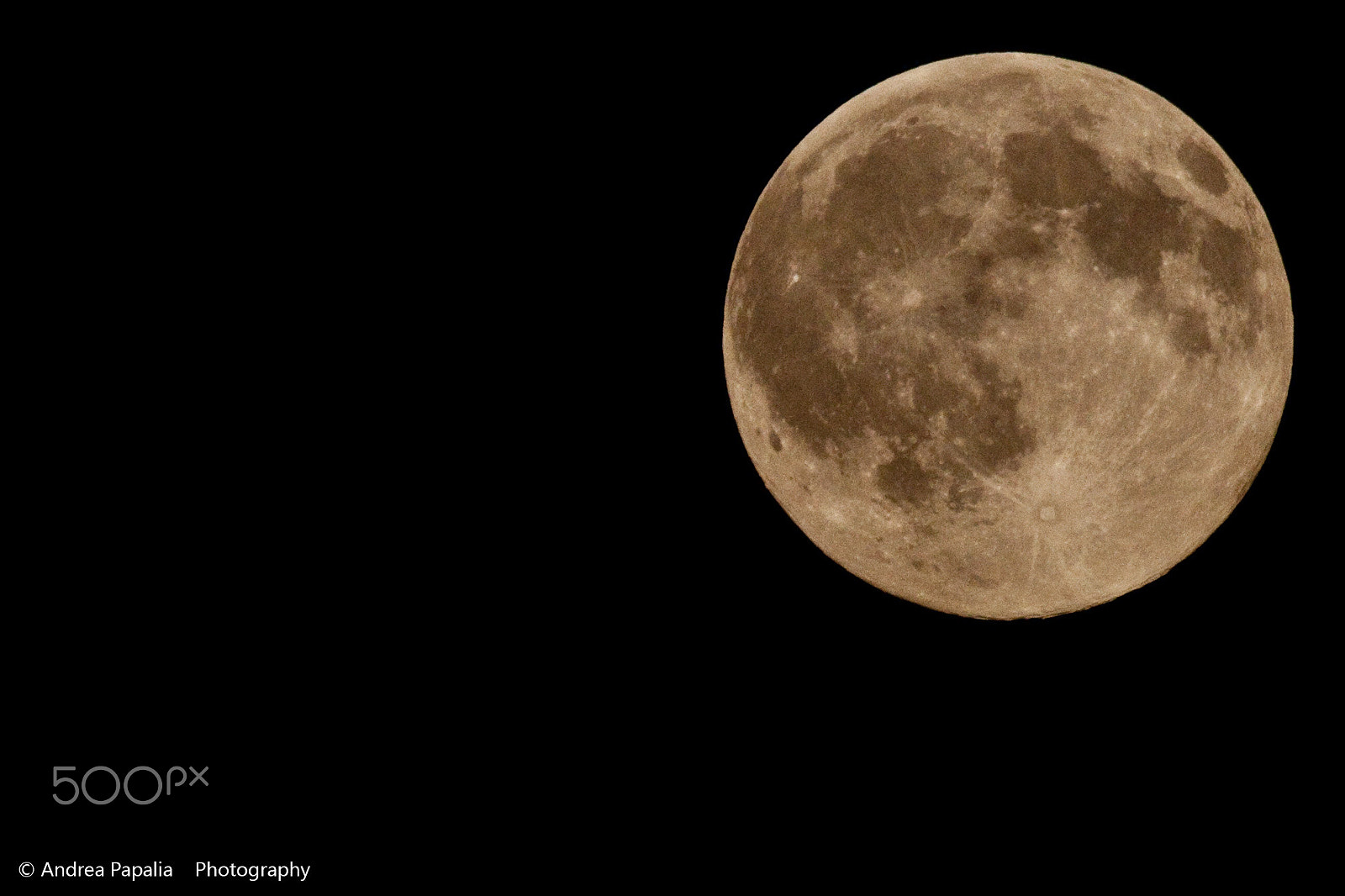 Canon EF 100-400mm F4.5-5.6L IS USM sample photo. Con il naso all'insù per scorgere le tue cicatrici photography