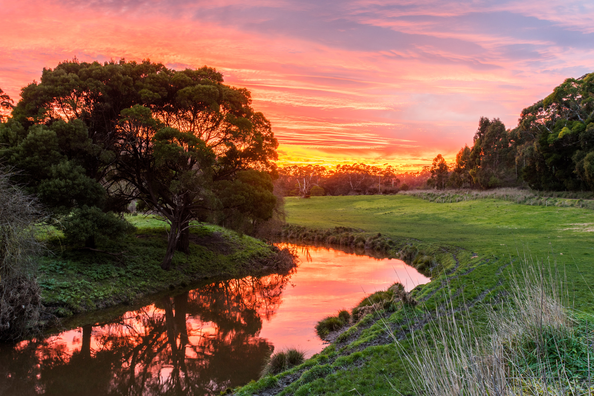 Sony a7 + Canon EF 17-40mm F4L USM sample photo. Curdies river sunrise photography