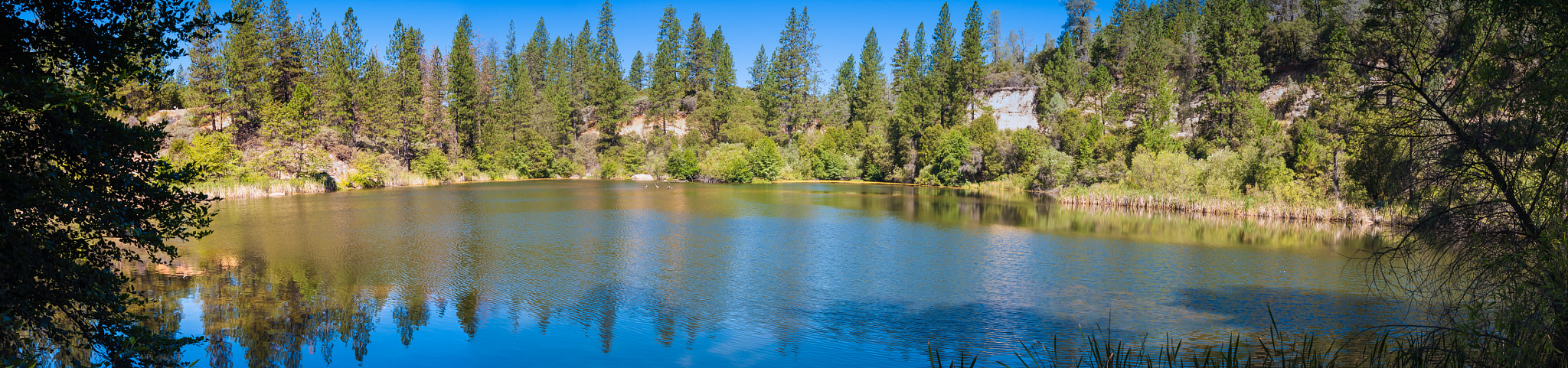 AF Zoom-Nikkor 24-50mm f/3.3-4.5 sample photo. Hirschman pond, gold country usa photography