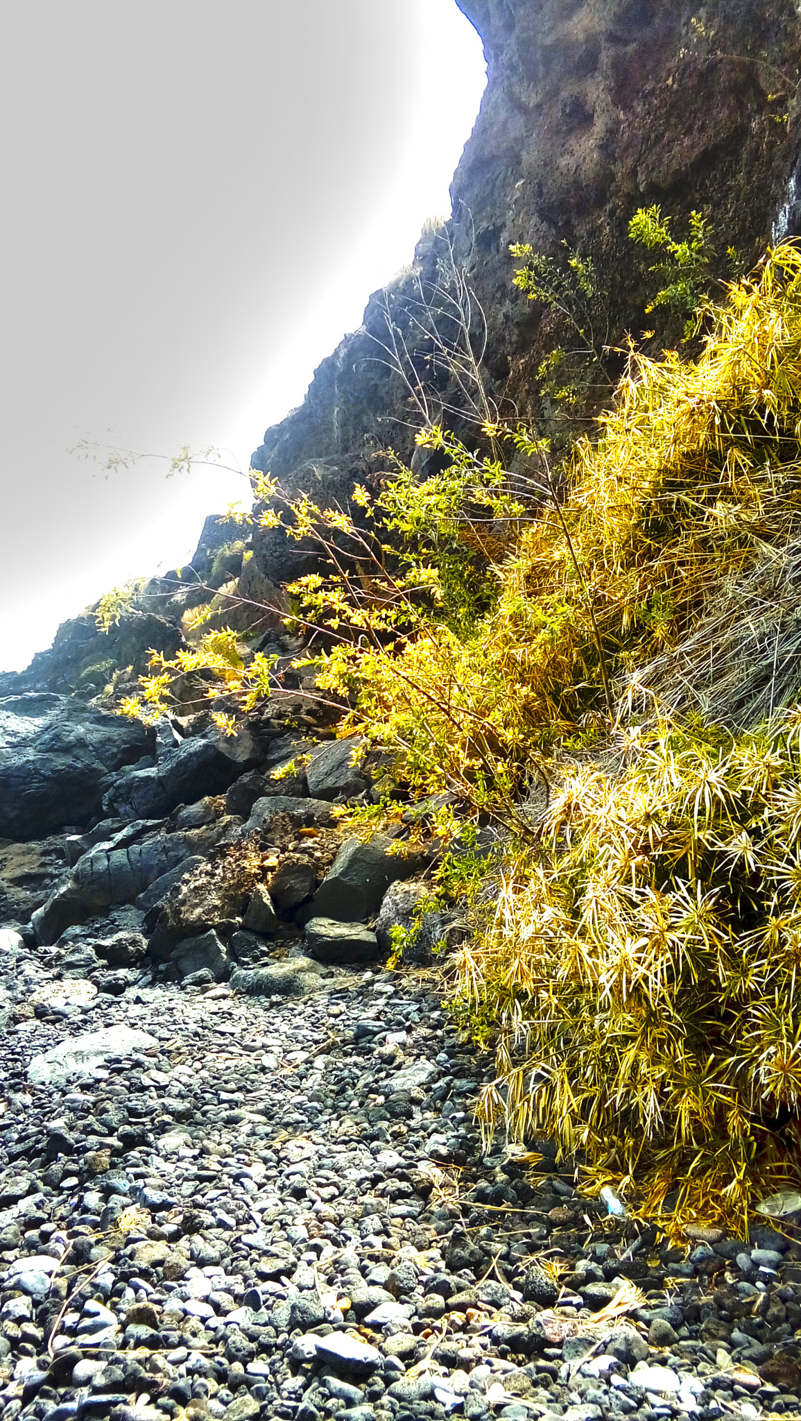 LG K350N sample photo. Tabaibarisco photography