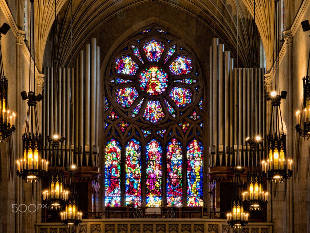 Olympus Zuiko Digital ED 12-60mm F2.8-4.0 SWD sample photo. Cathedral basilica 8 photography