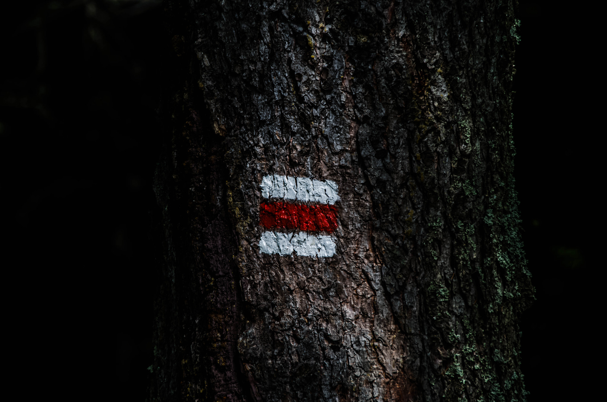 Sigma 28-300mm F3.5-6.3 DG Macro sample photo. Sign photography